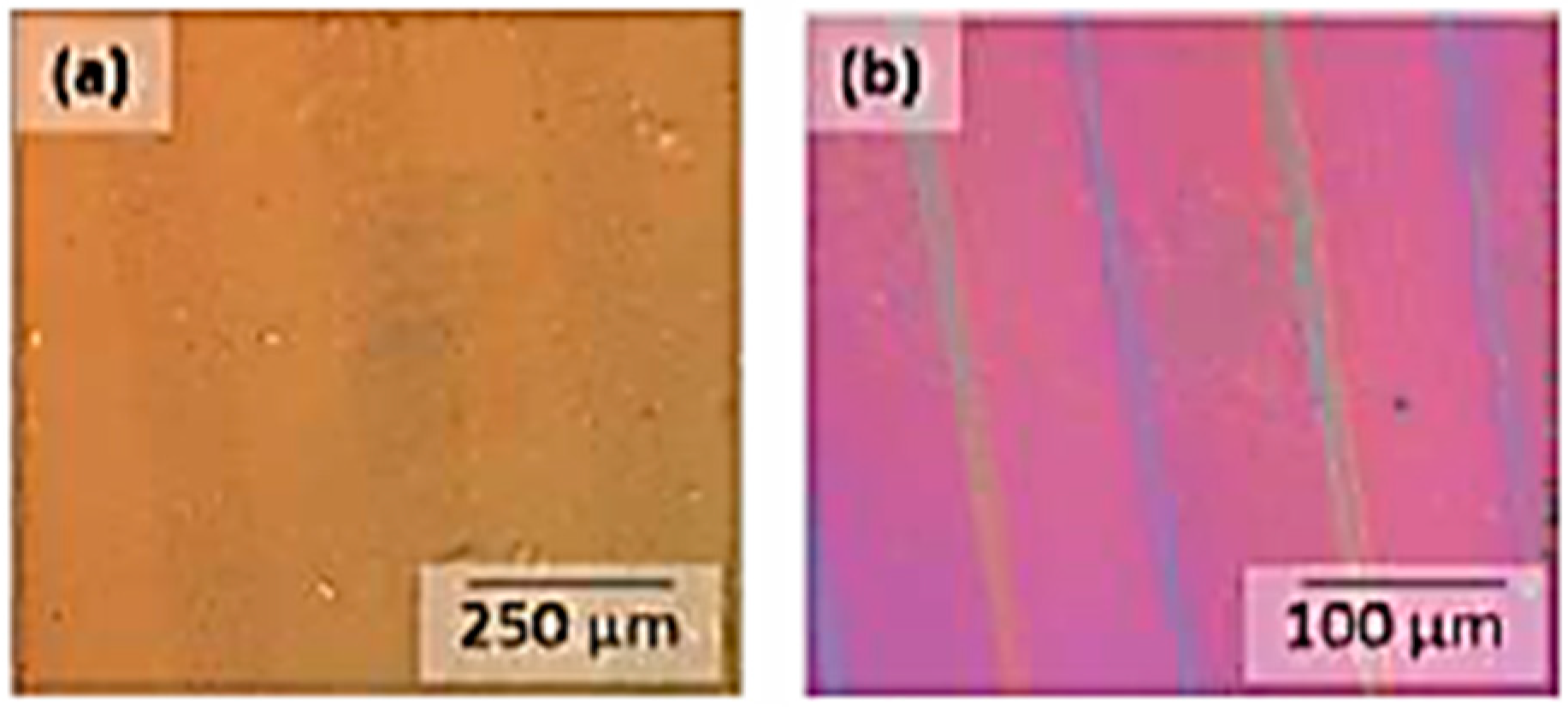 Polymers 11 00169 g013