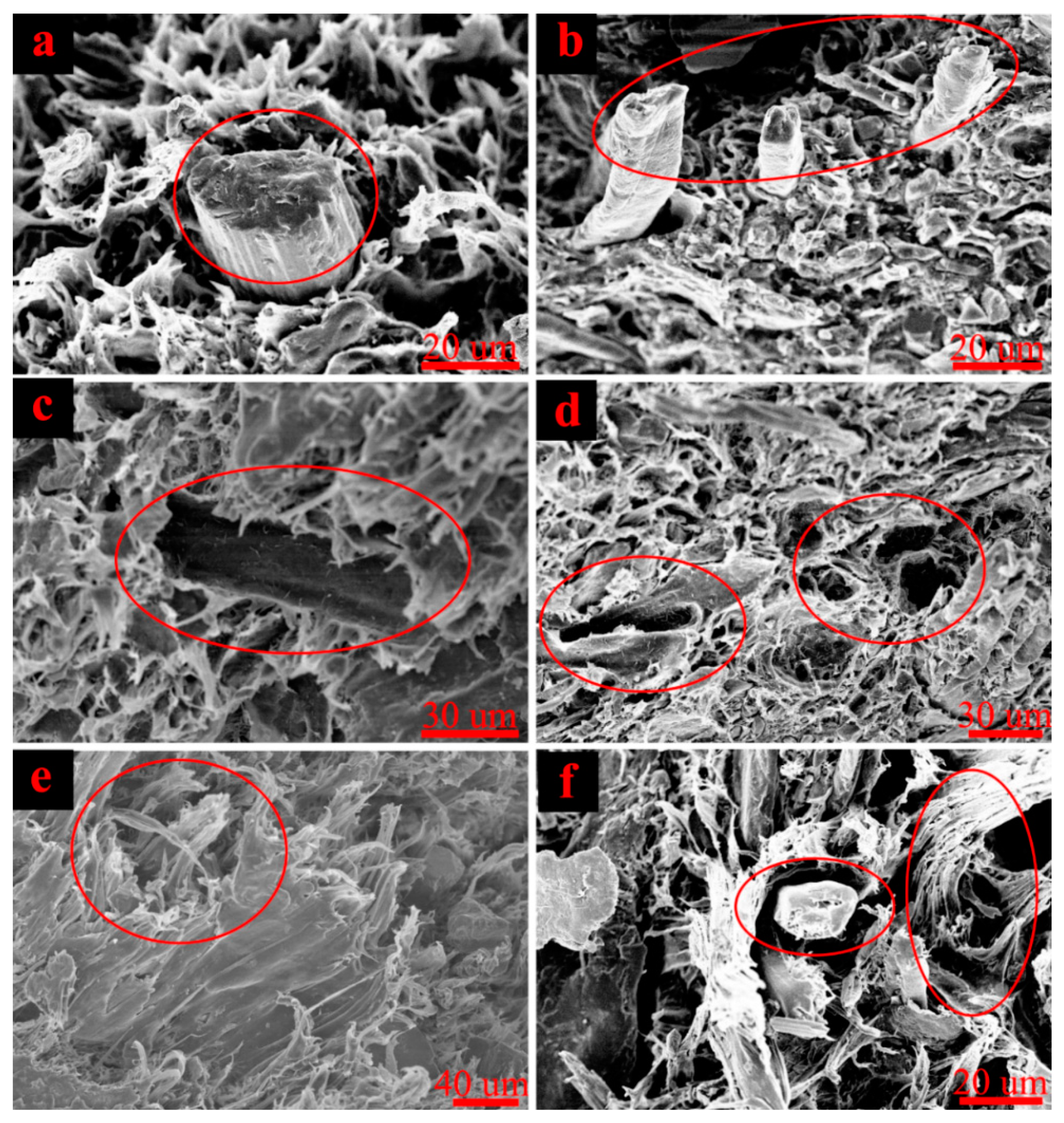 Polymers 11 00170 g003