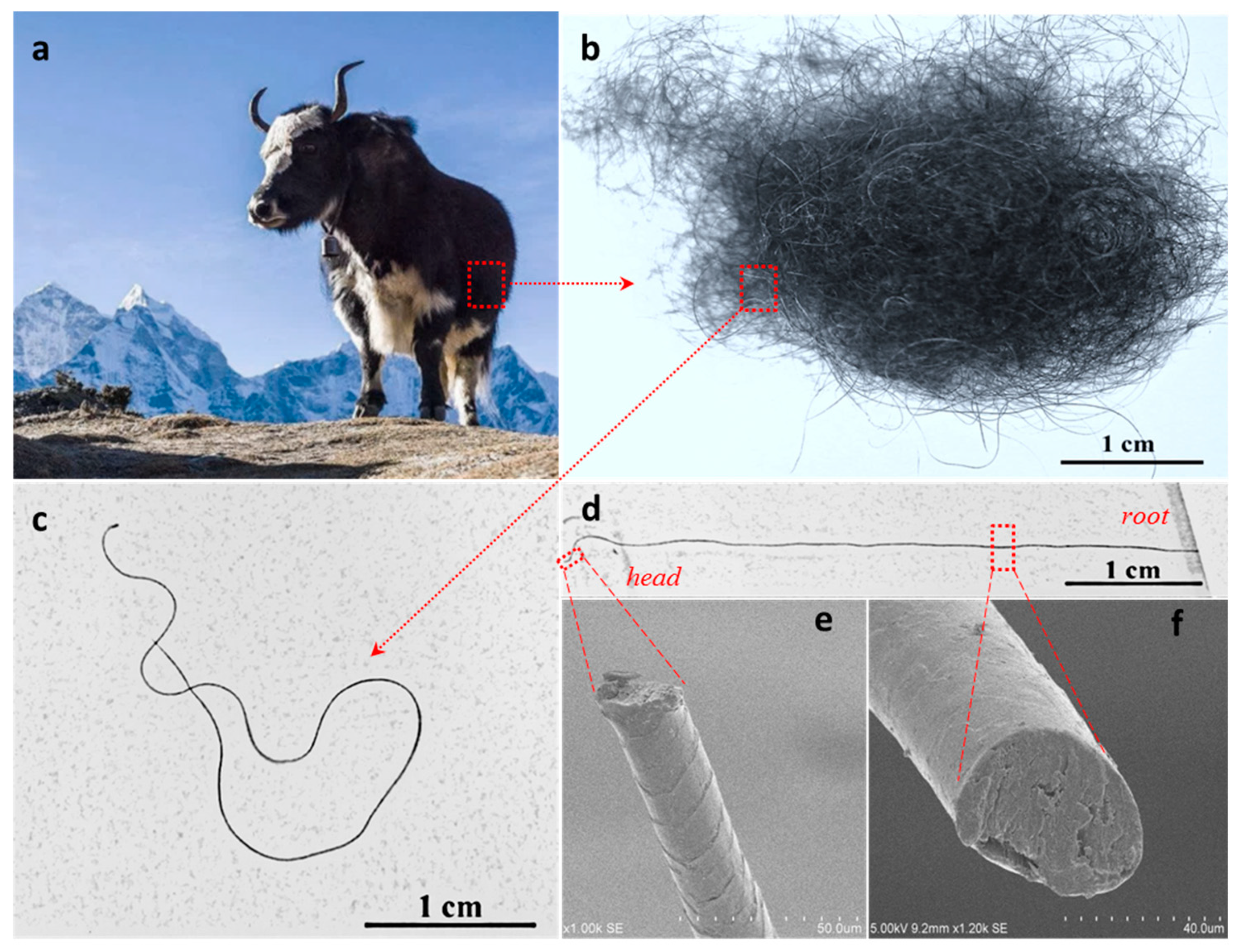 Polymers 11 00172 g001