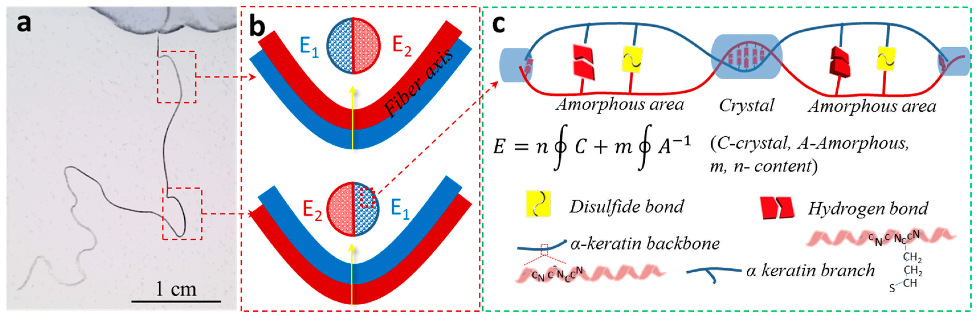 Polymers 11 00172 g002
