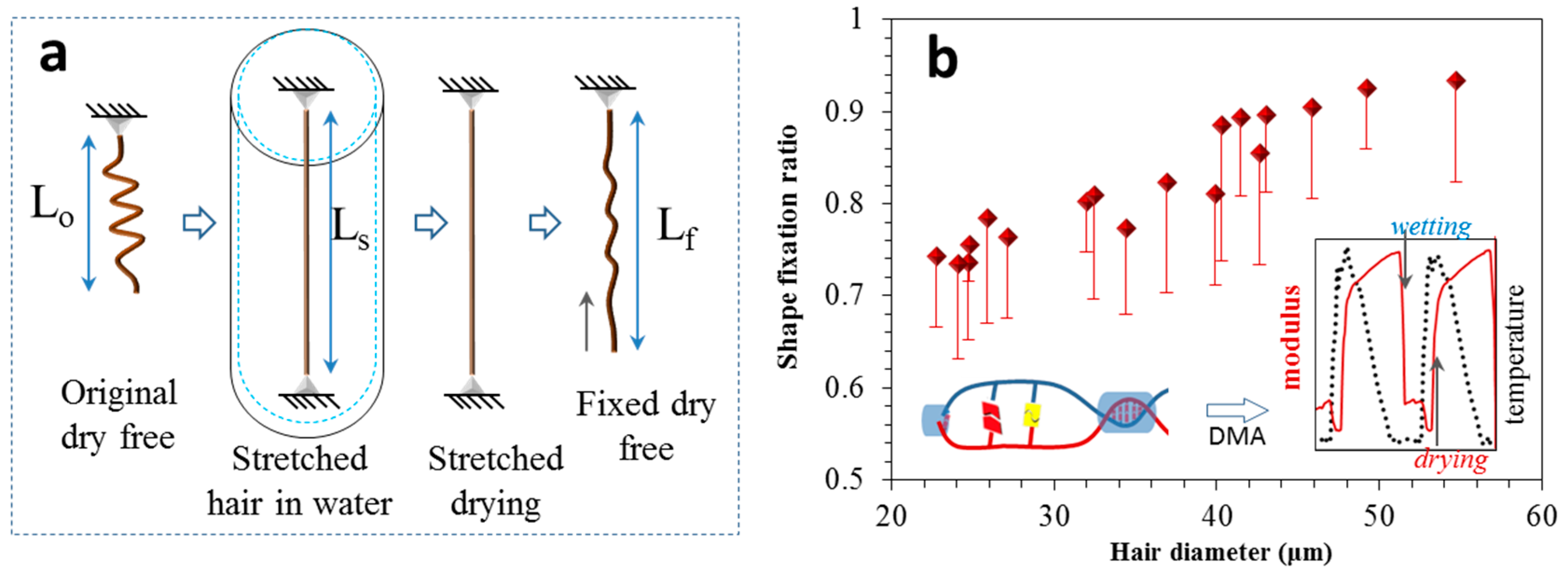 Polymers 11 00172 g005