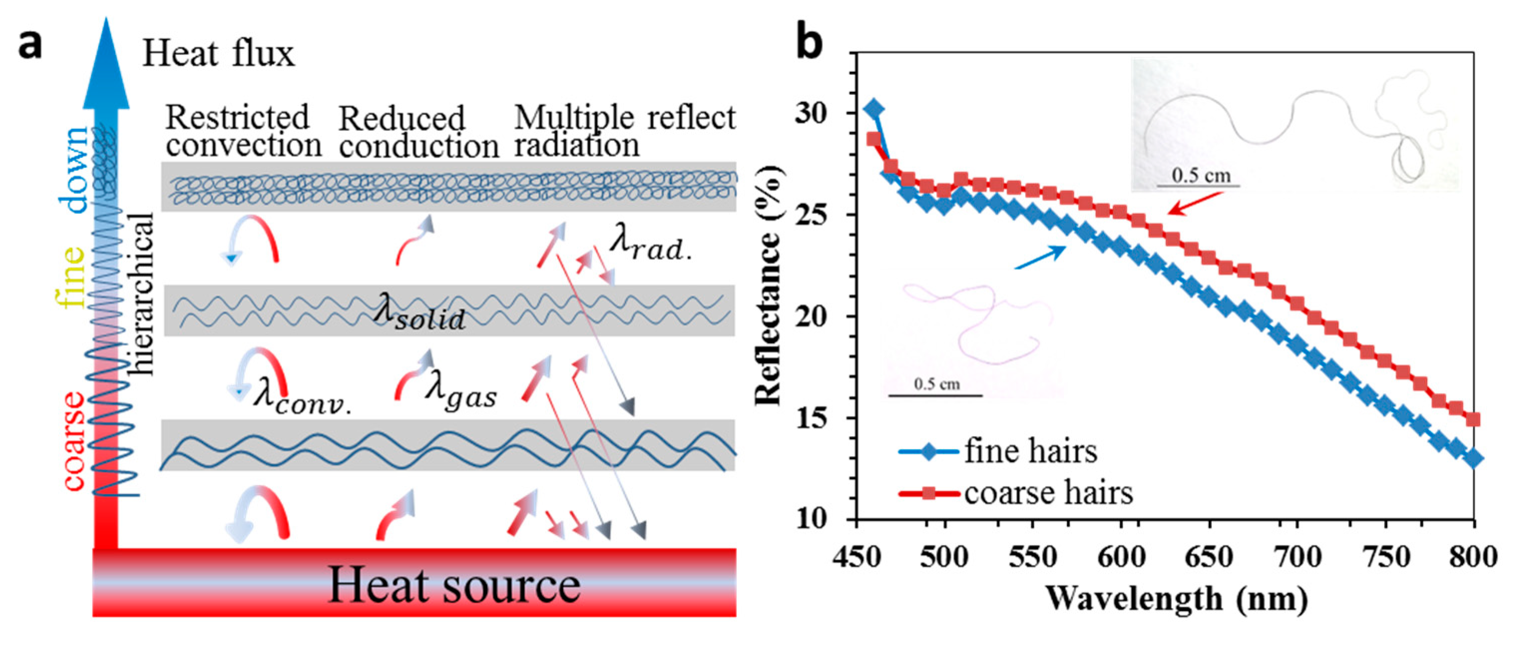 Polymers 11 00172 g007