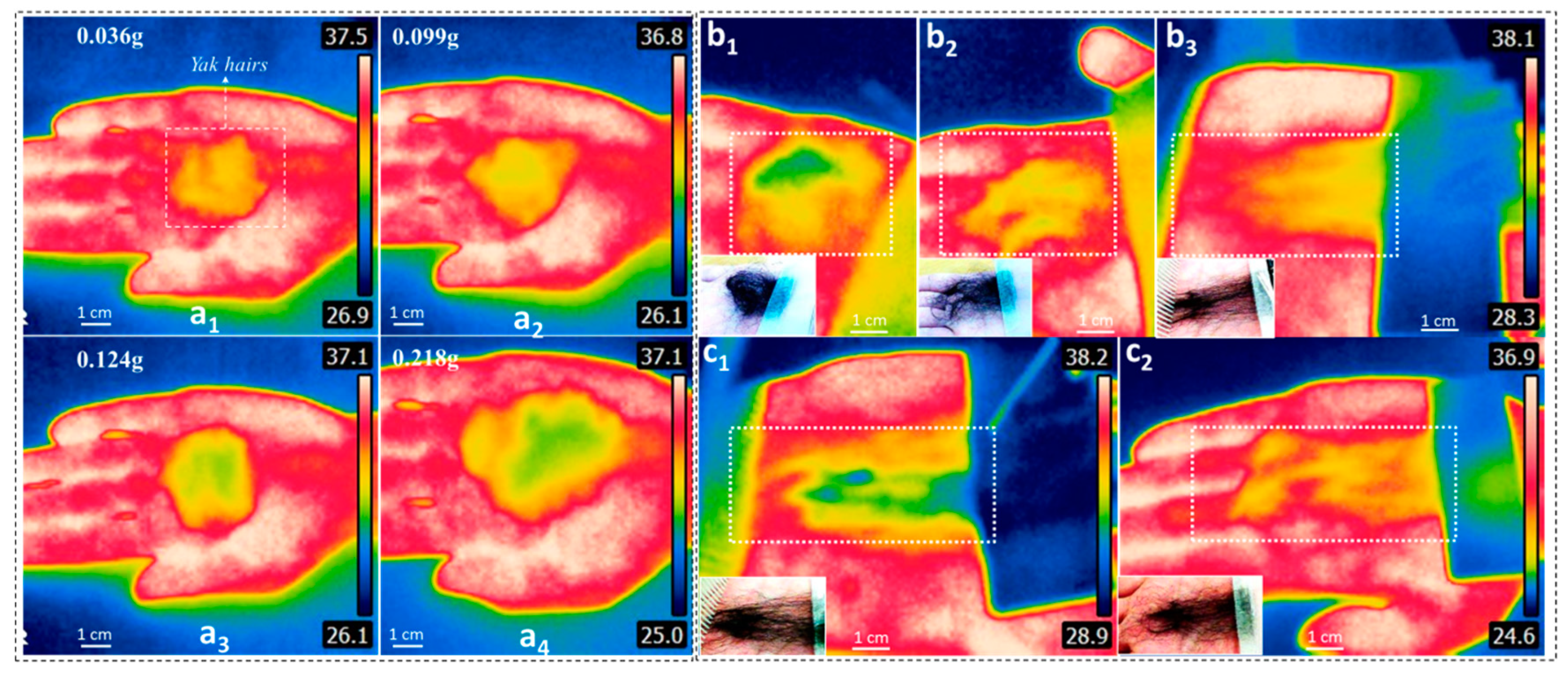 Polymers 11 00172 g008