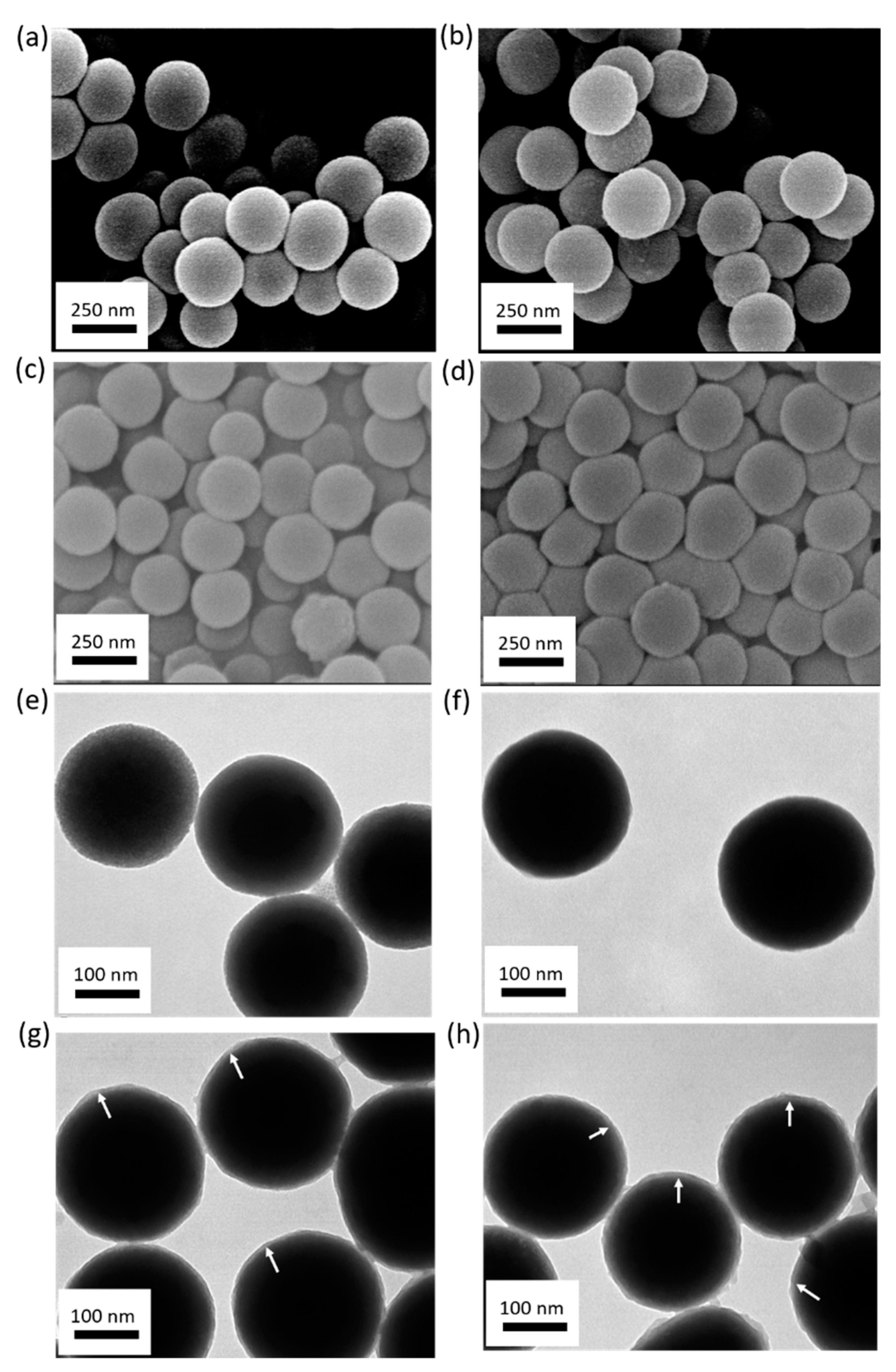 Polymers 11 00173 g002