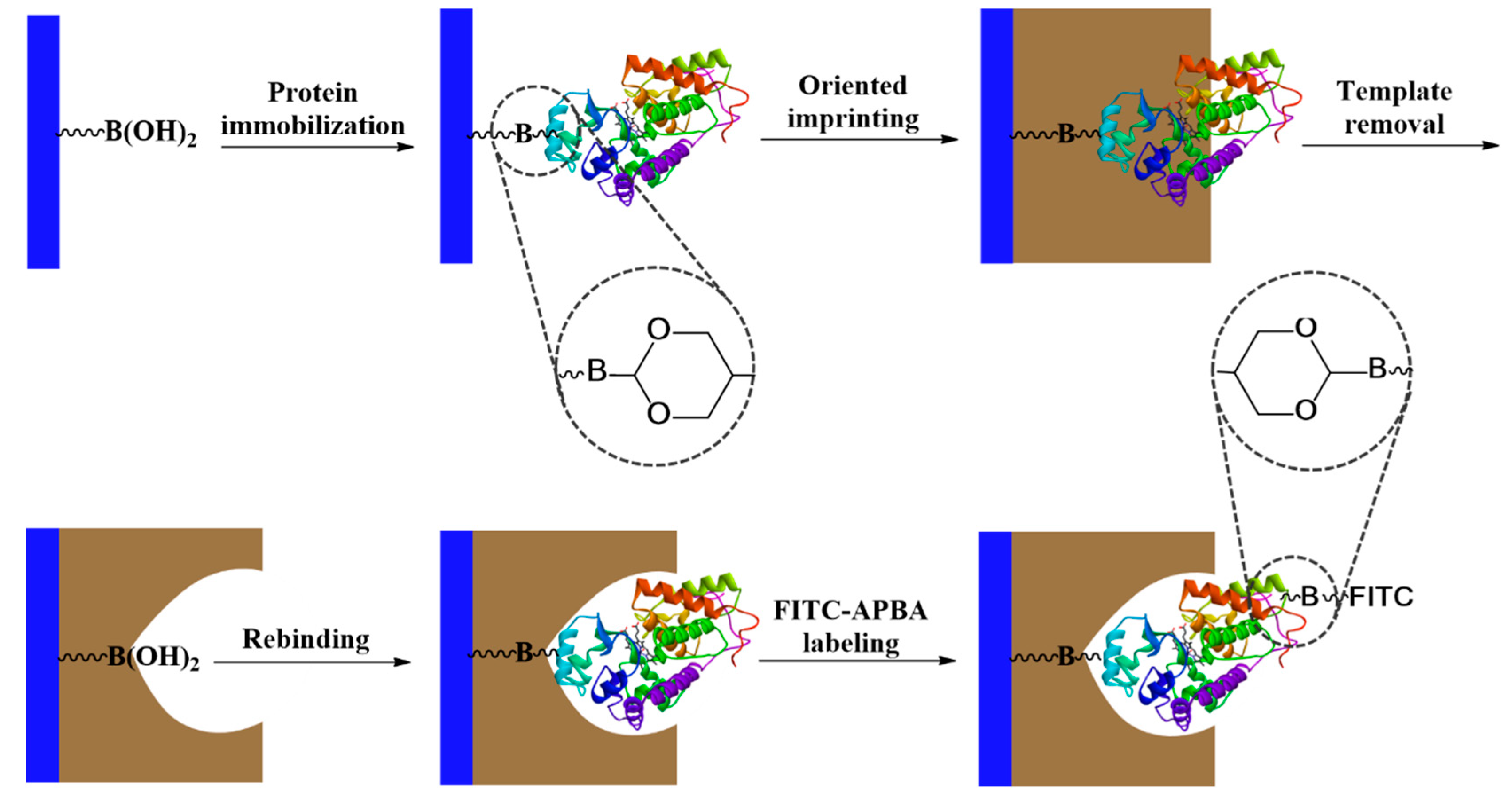 Polymers 11 00173 sch001