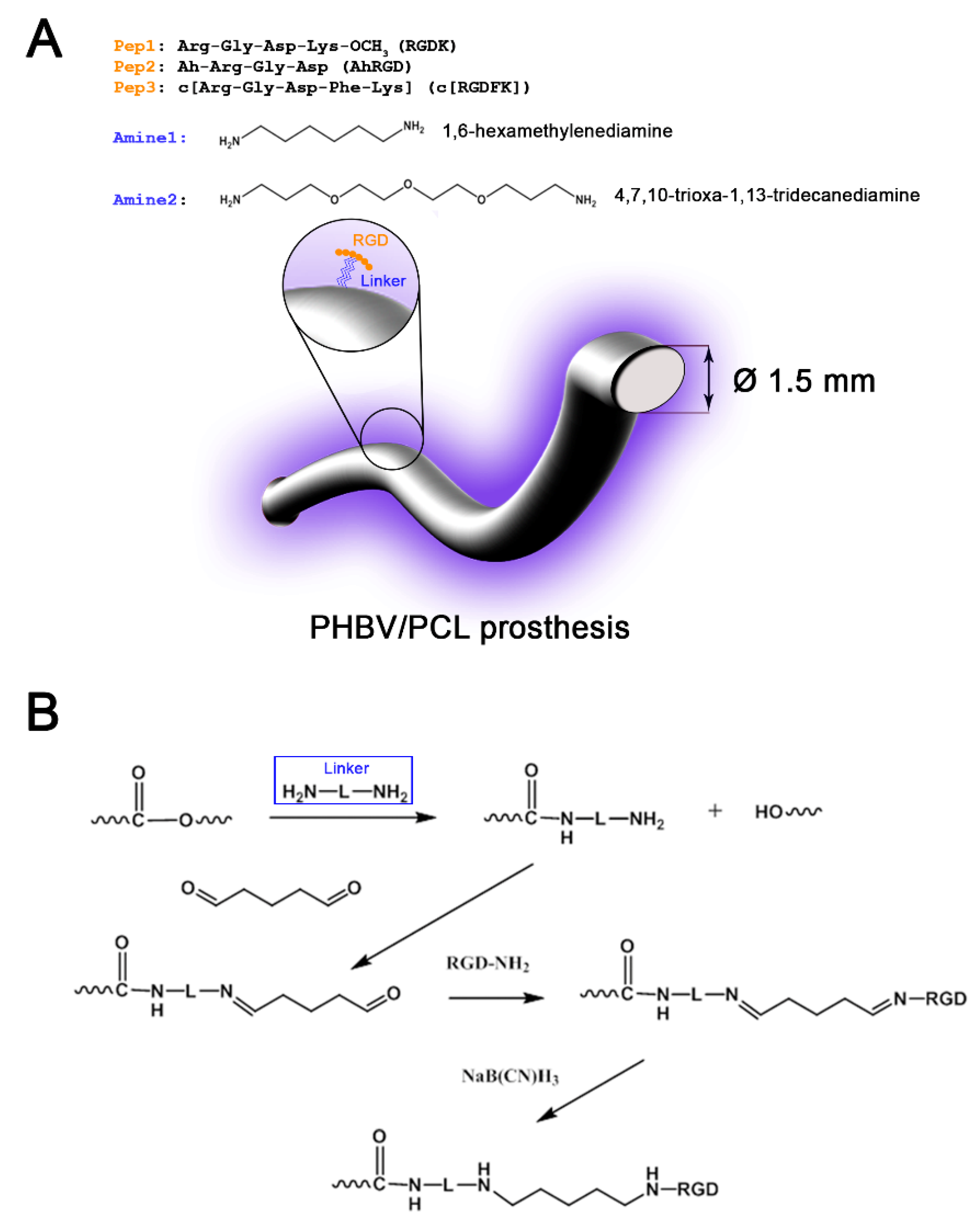 Polymers 11 00174 g001 Polymers 11 00174 g001