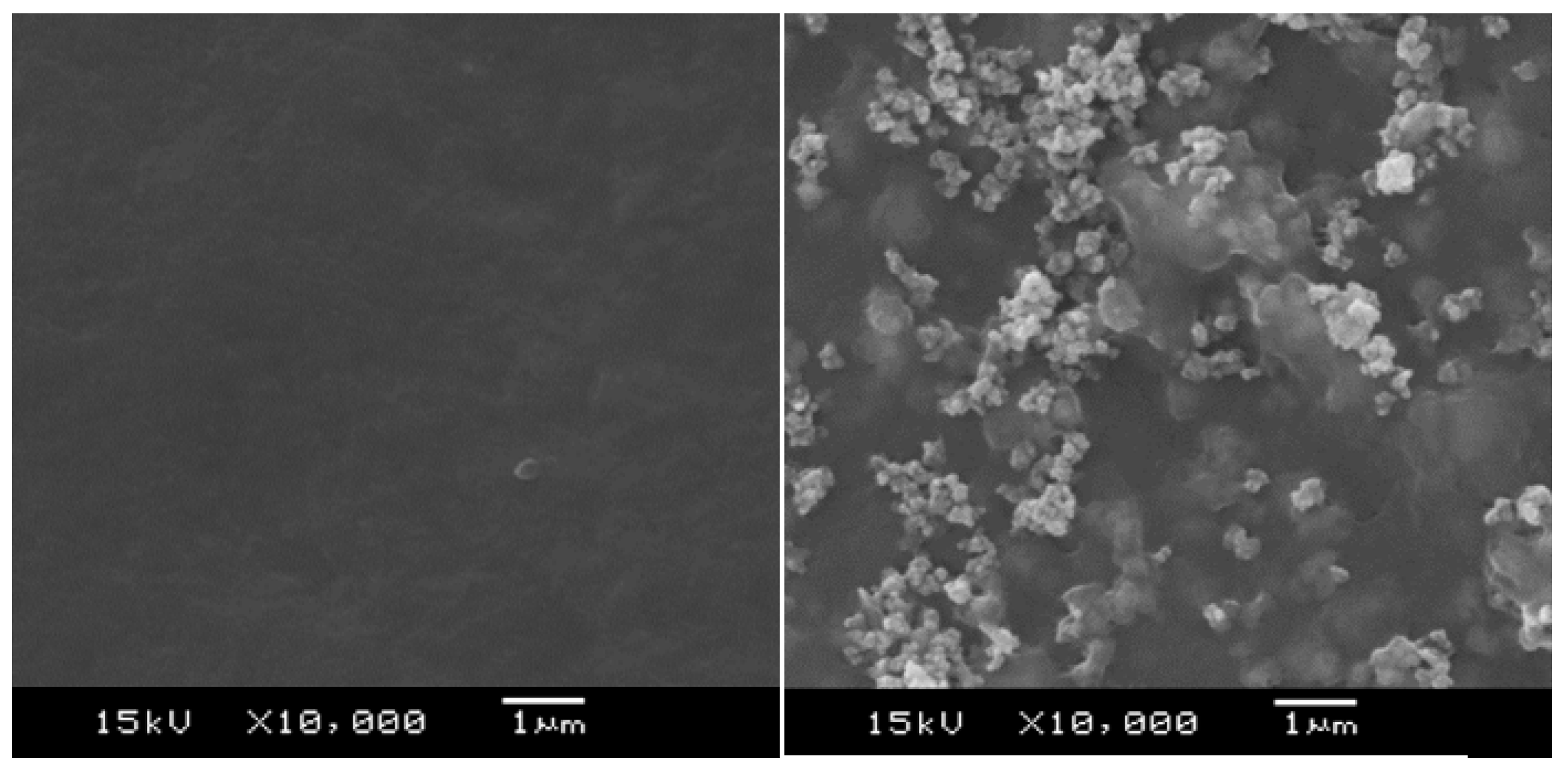 Polymers 11 00179 g007 Polymers 11 00179 g007