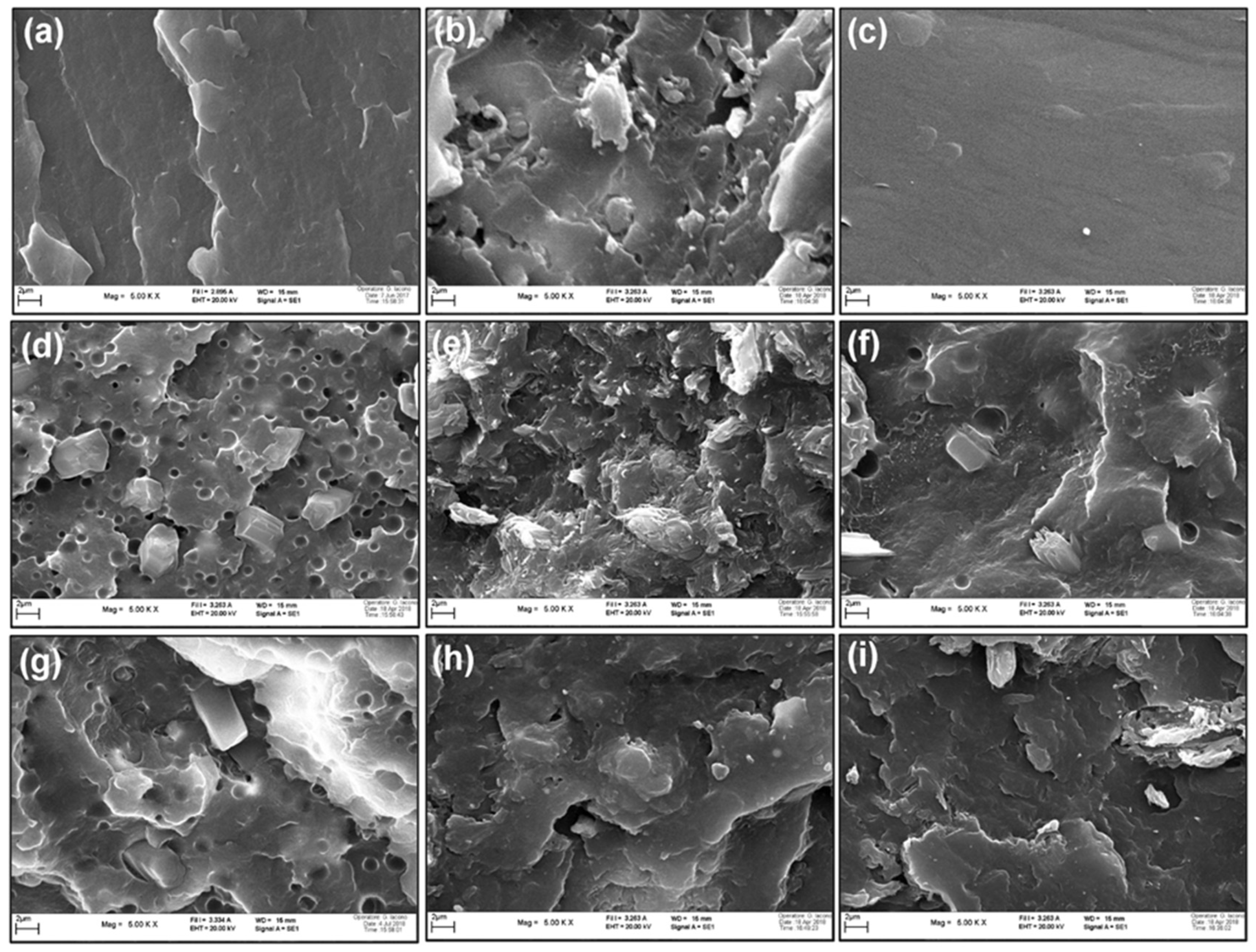 Polymers 11 00180 g001