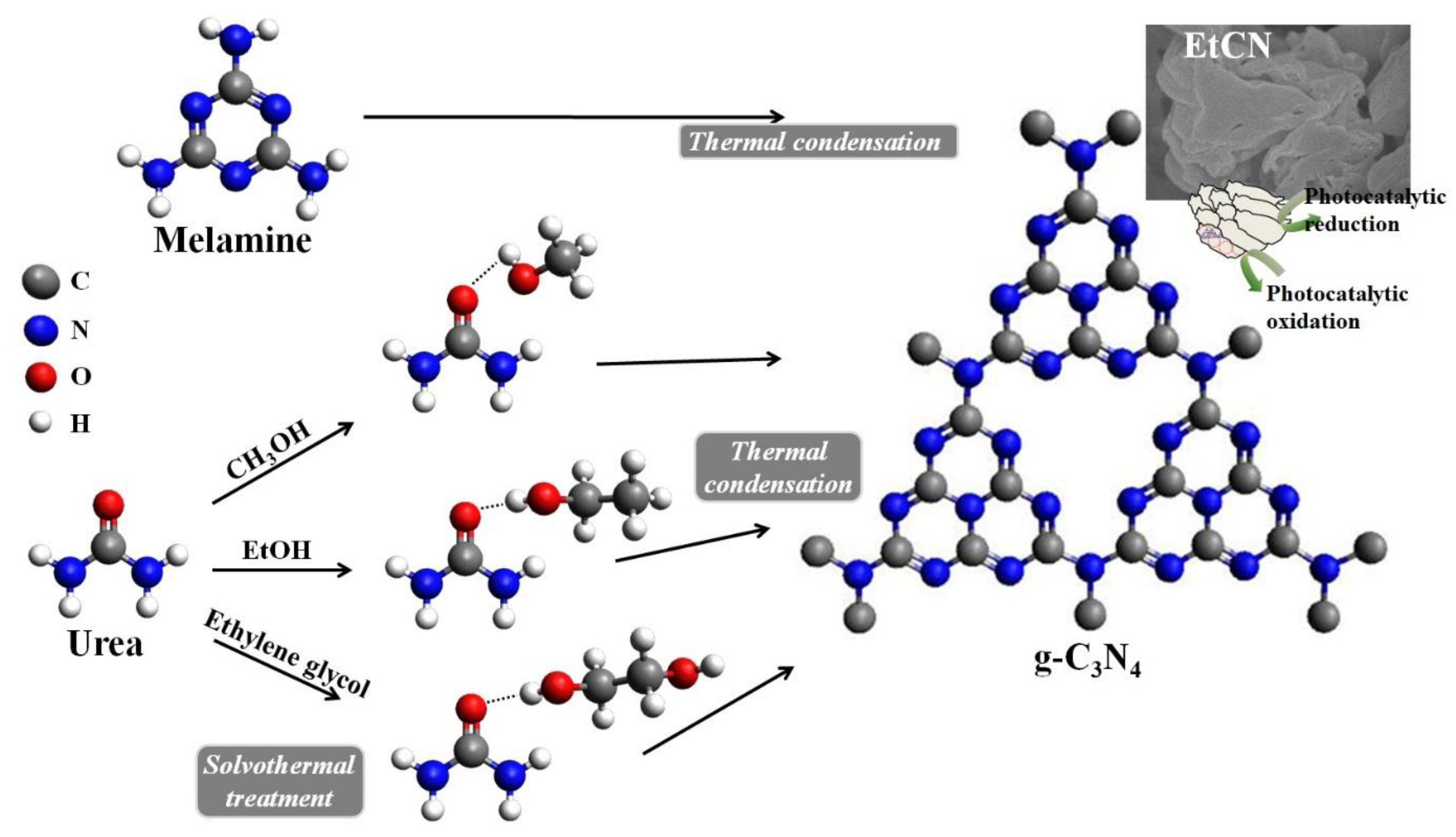 Polymers 11 00182 g007