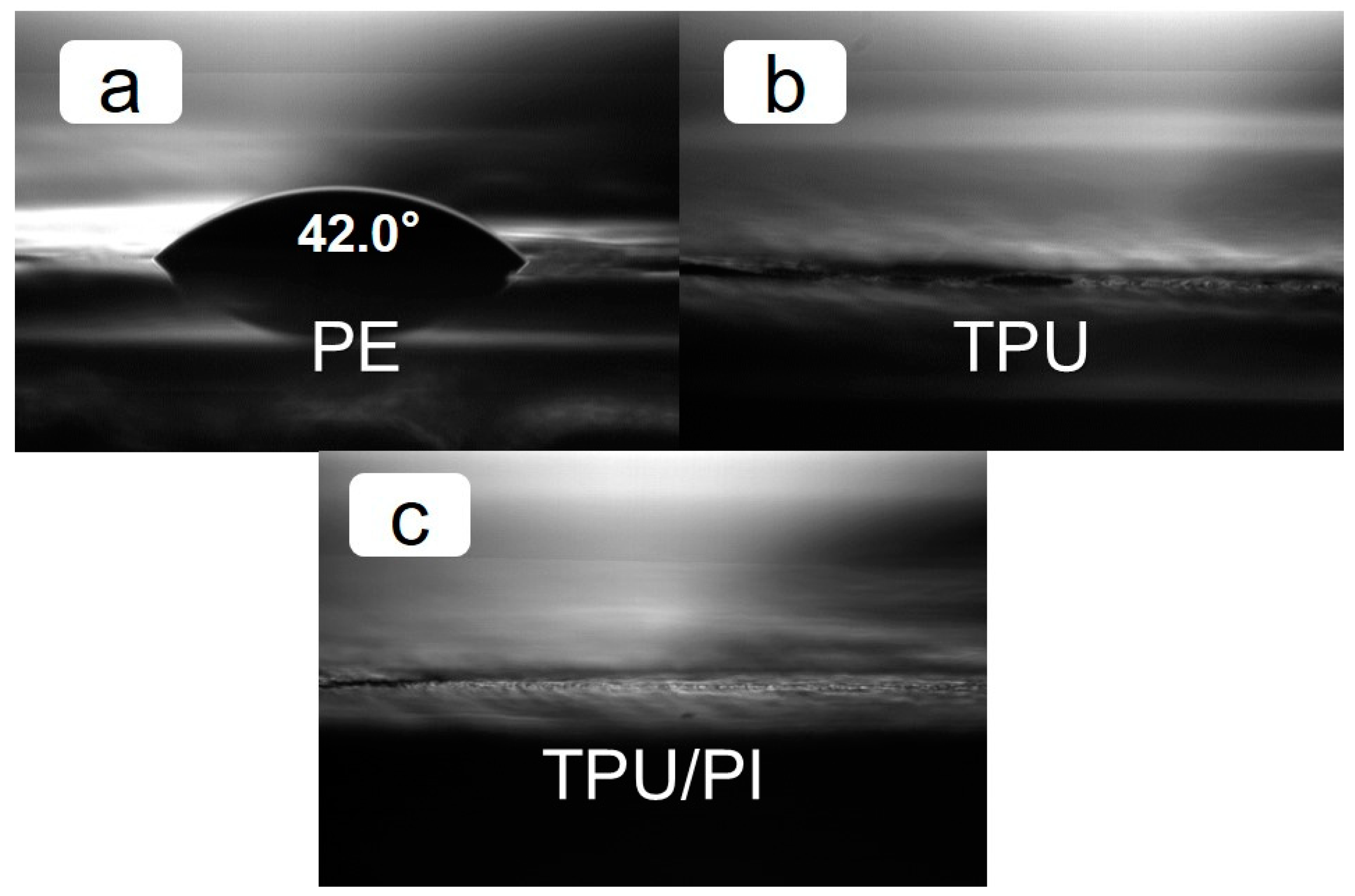 Polymers 11 00185 g005 Polymers 11 00185 g005