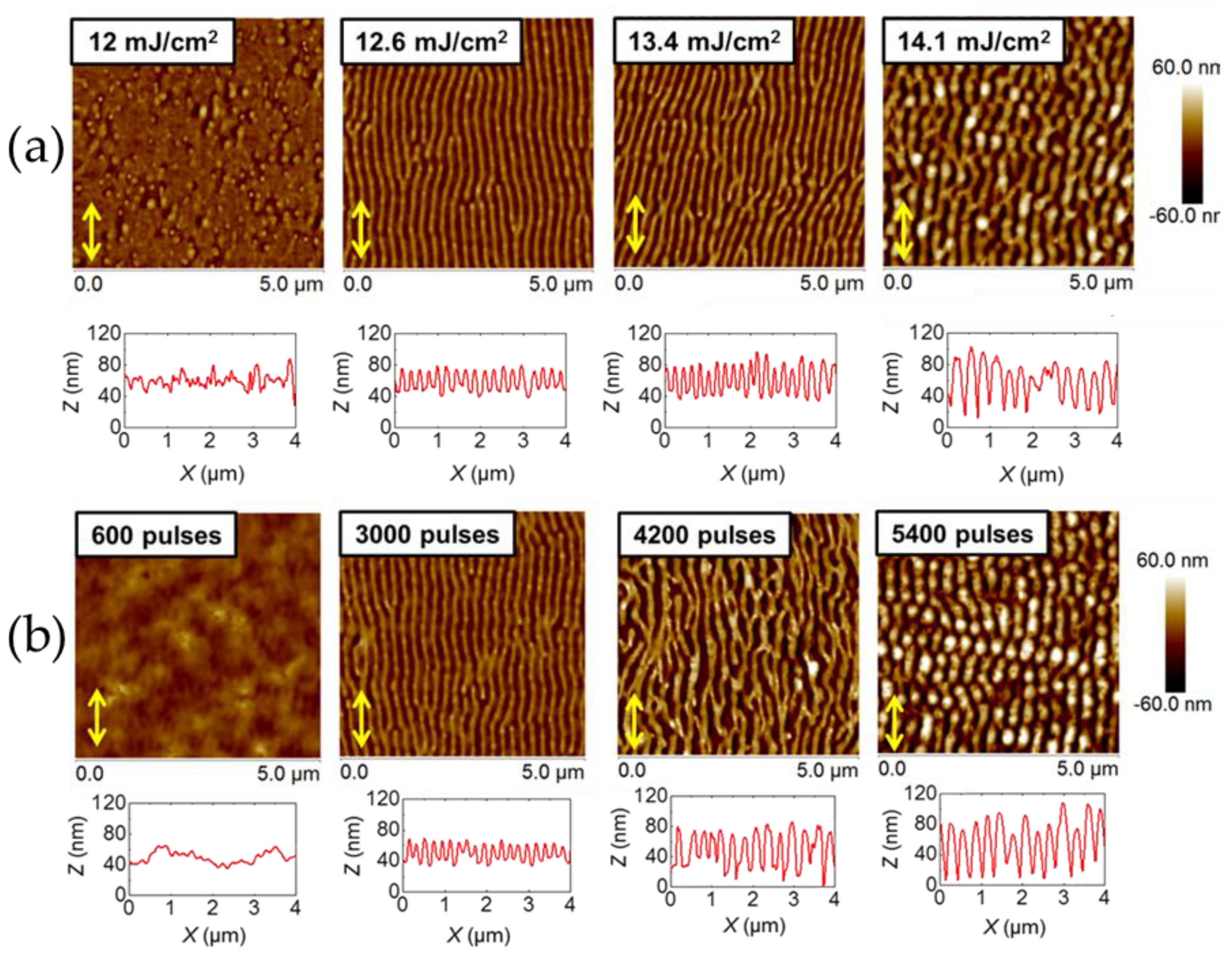 Polymers 11 00190 g002 Polymers 11 00190 g002