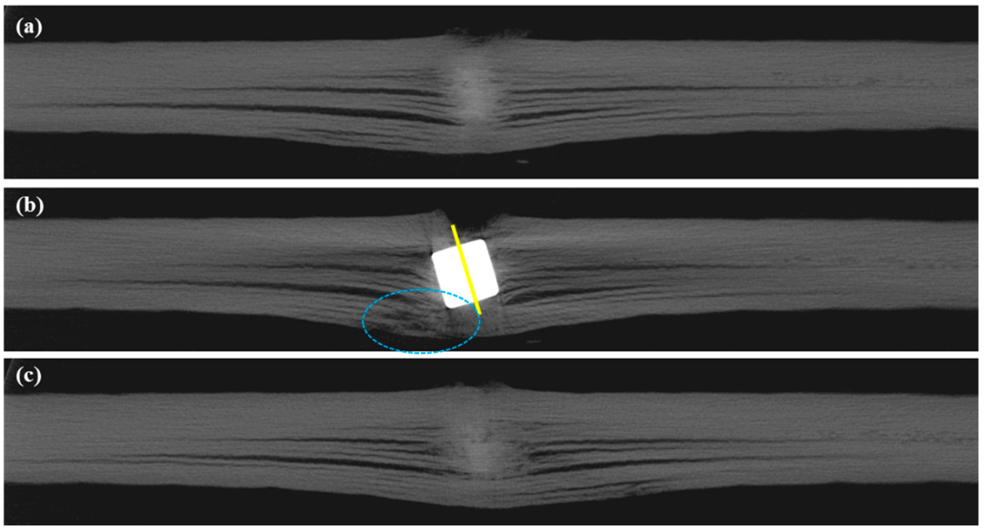 Polymers 11 00198 g006 Polymers 11 00198 g006