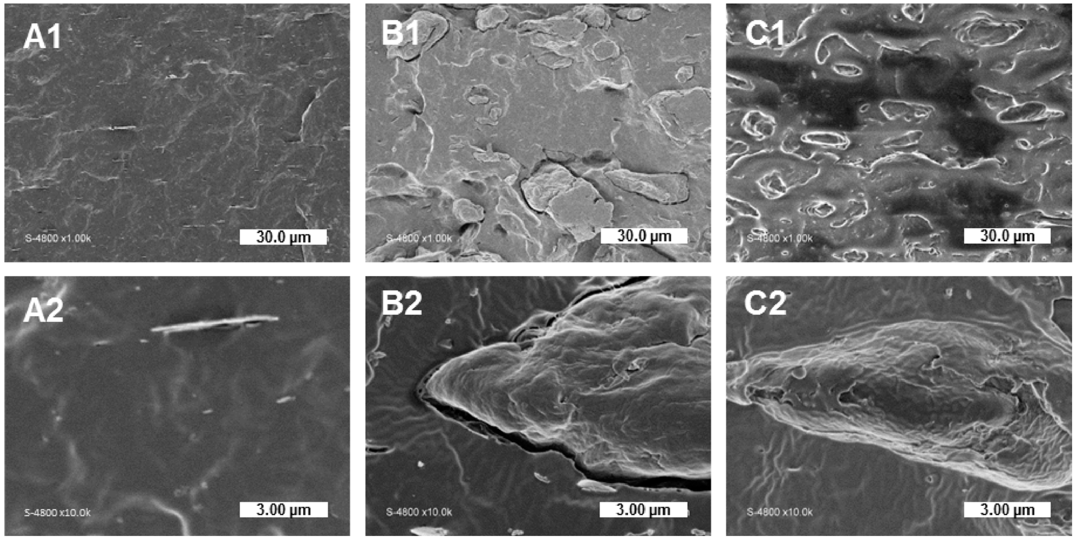 Polymers 11 00200 g003 Polymers 11 00200 g003