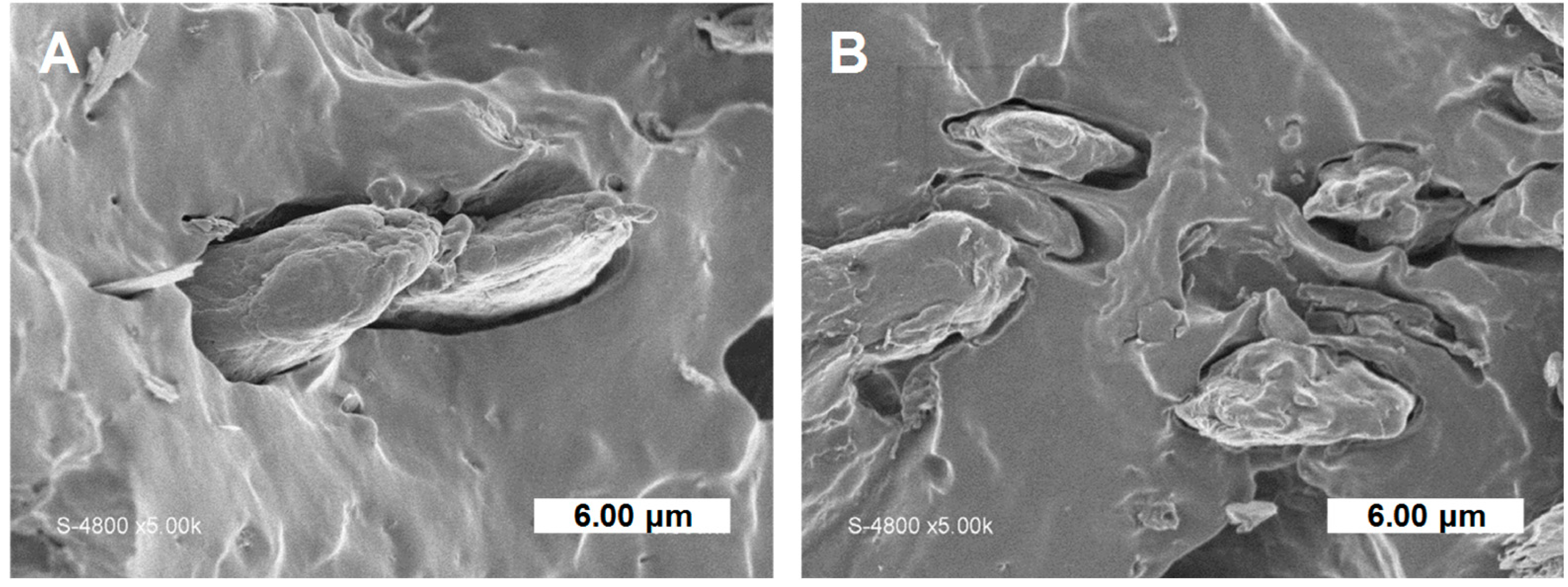 Polymers 11 00200 g010 Polymers 11 00200 g010