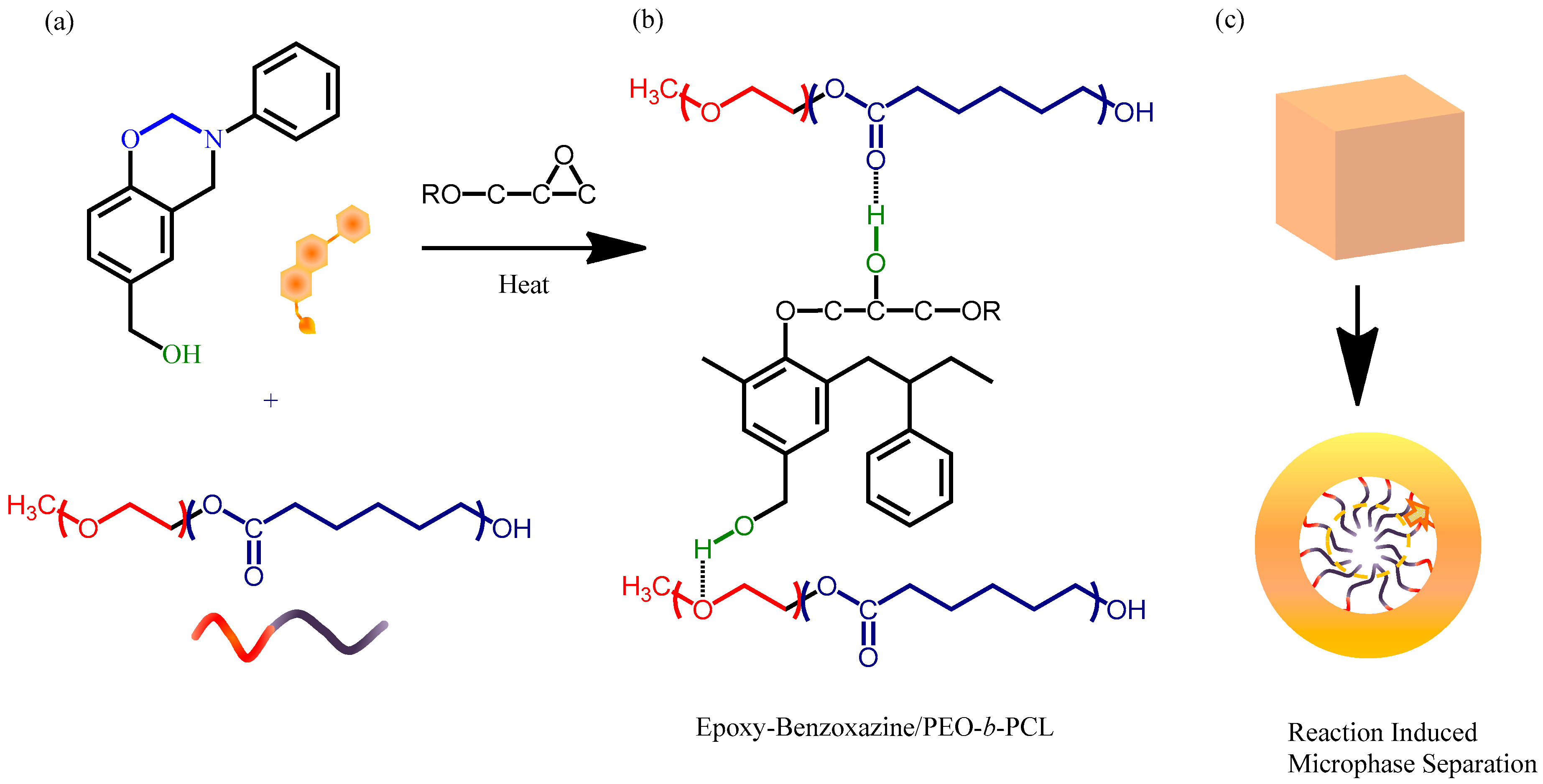Polymers 11 00201 g002