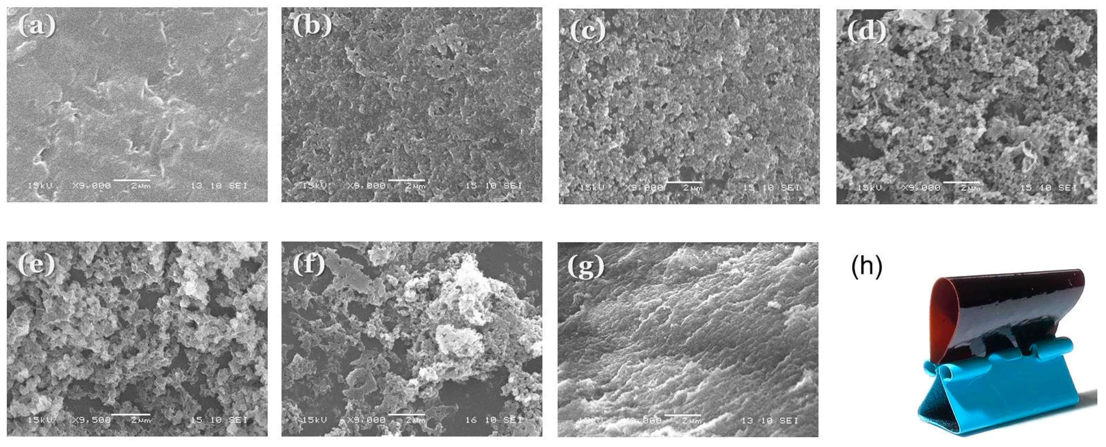 Polymers 11 00201 g010