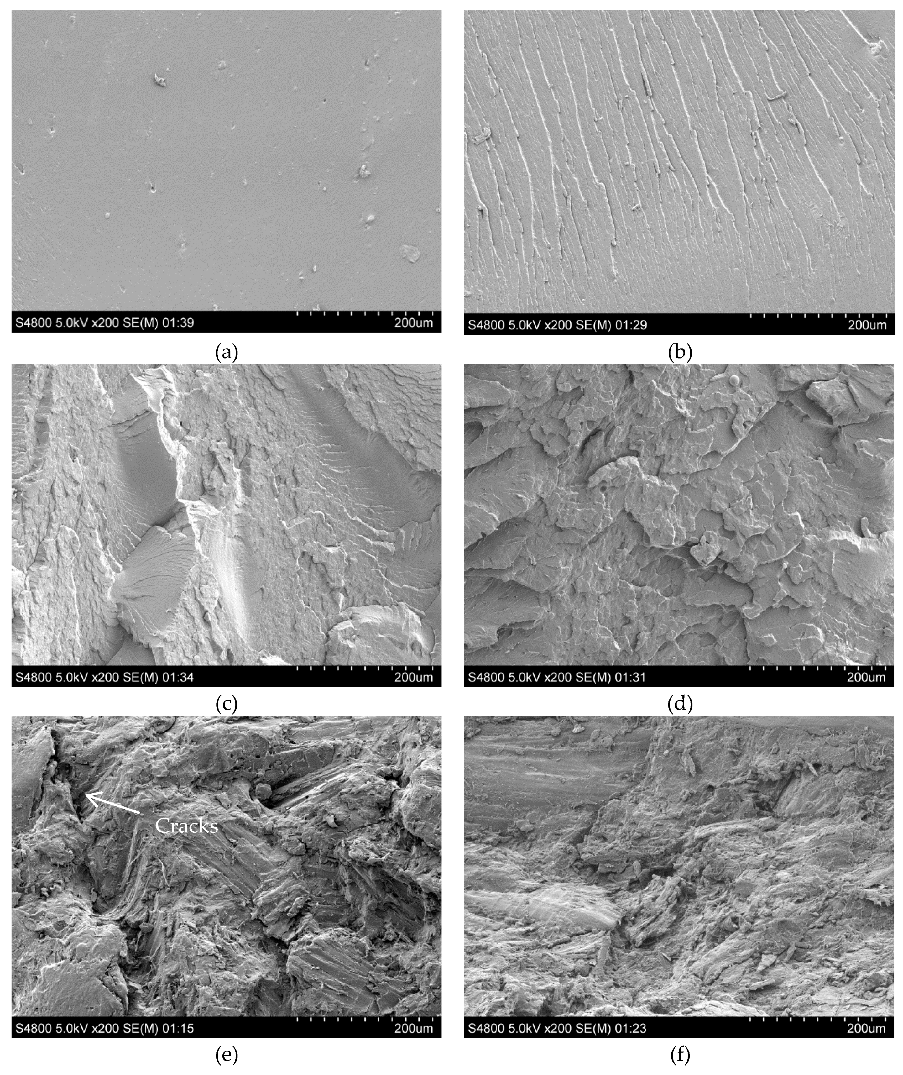 Polymers 11 00204 g004a Polymers 11 00204 g004a