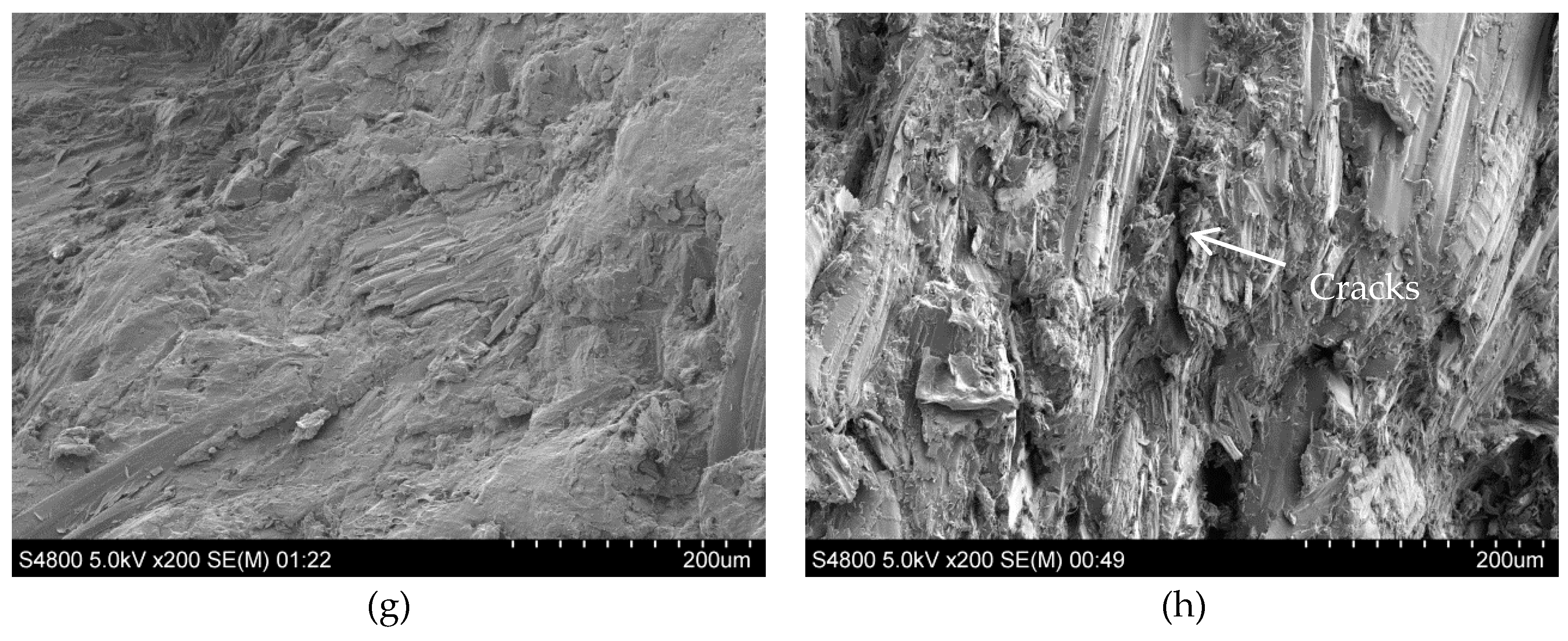 Polymers 11 00204 g004b Polymers 11 00204 g004b