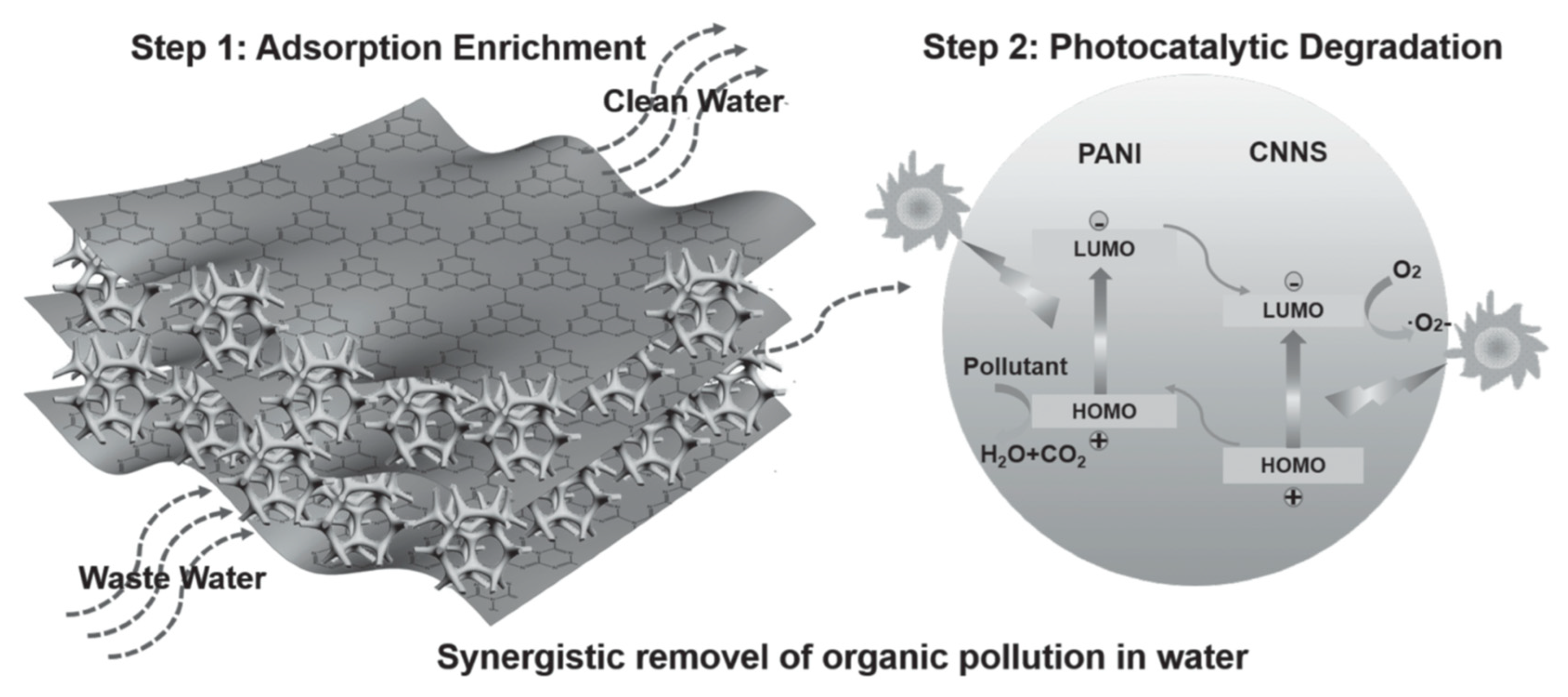 Polymers 11 00206 g006