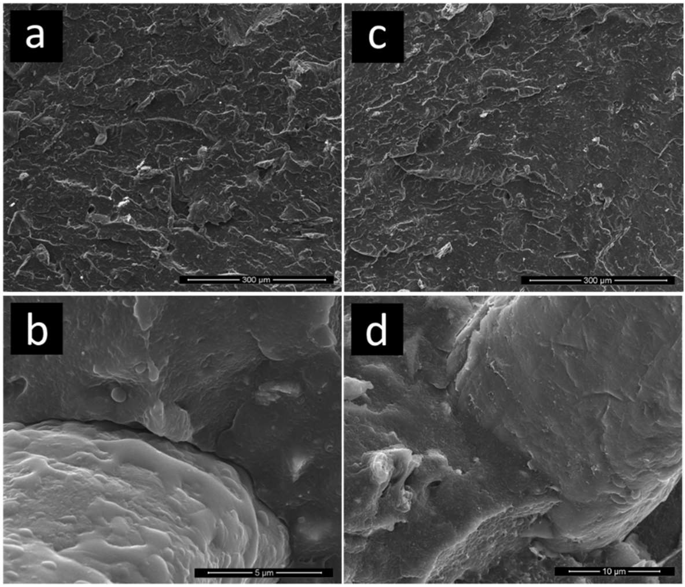 Polymers 11 00208 g004 Polymers 11 00208 g004