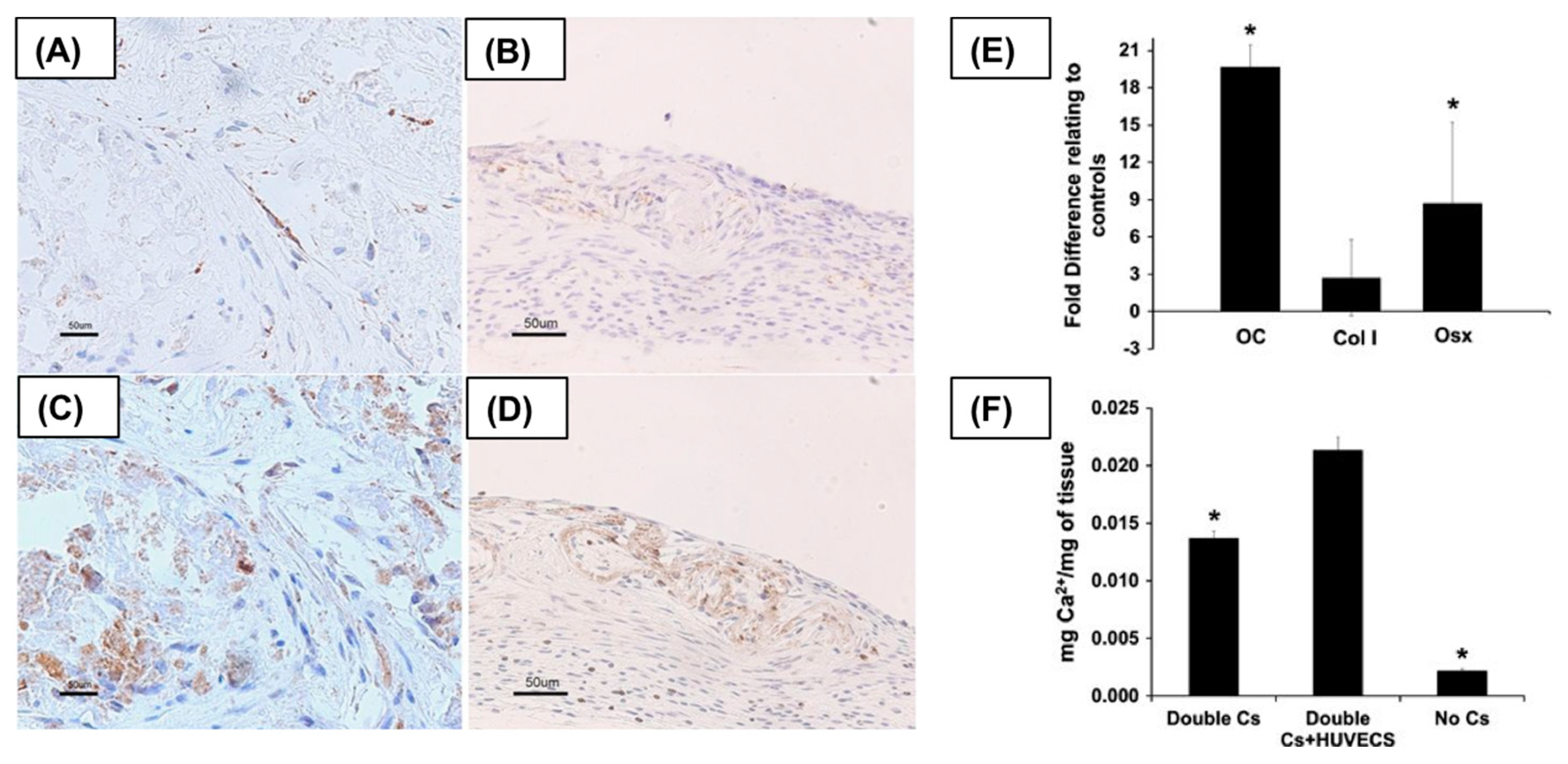 Polymers 11 00209 g003 Polymers 11 00209 g003