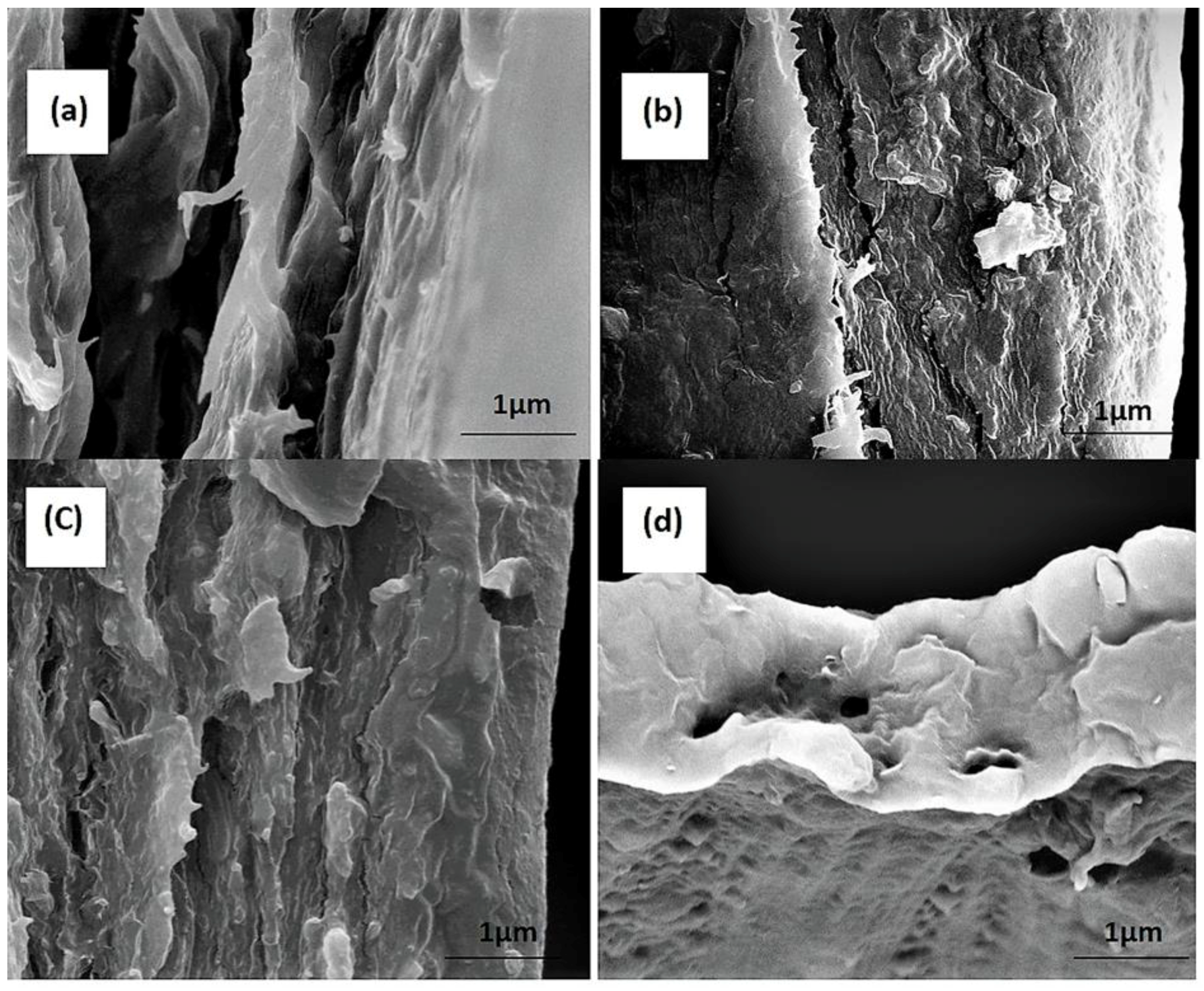Polymers 11 00210 g004 Polymers 11 00210 g004