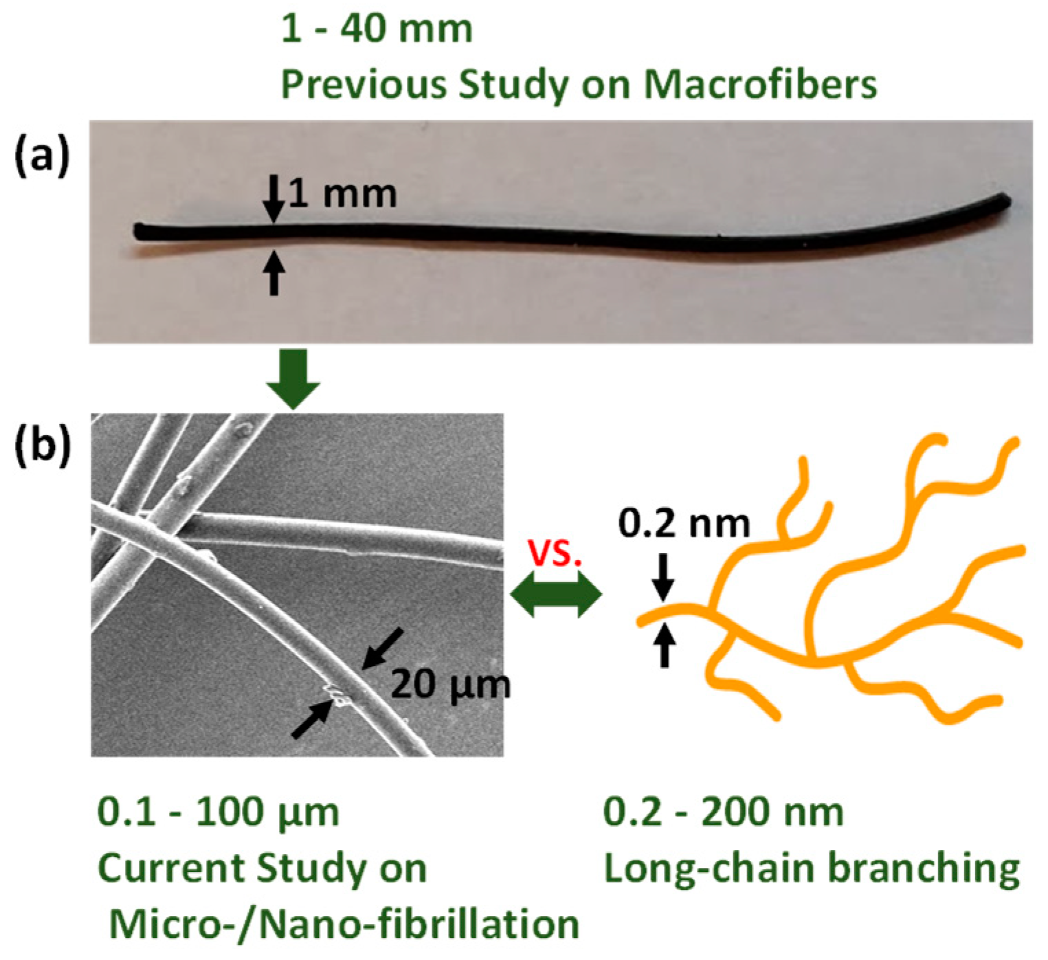 Polymers 11 00211 g001