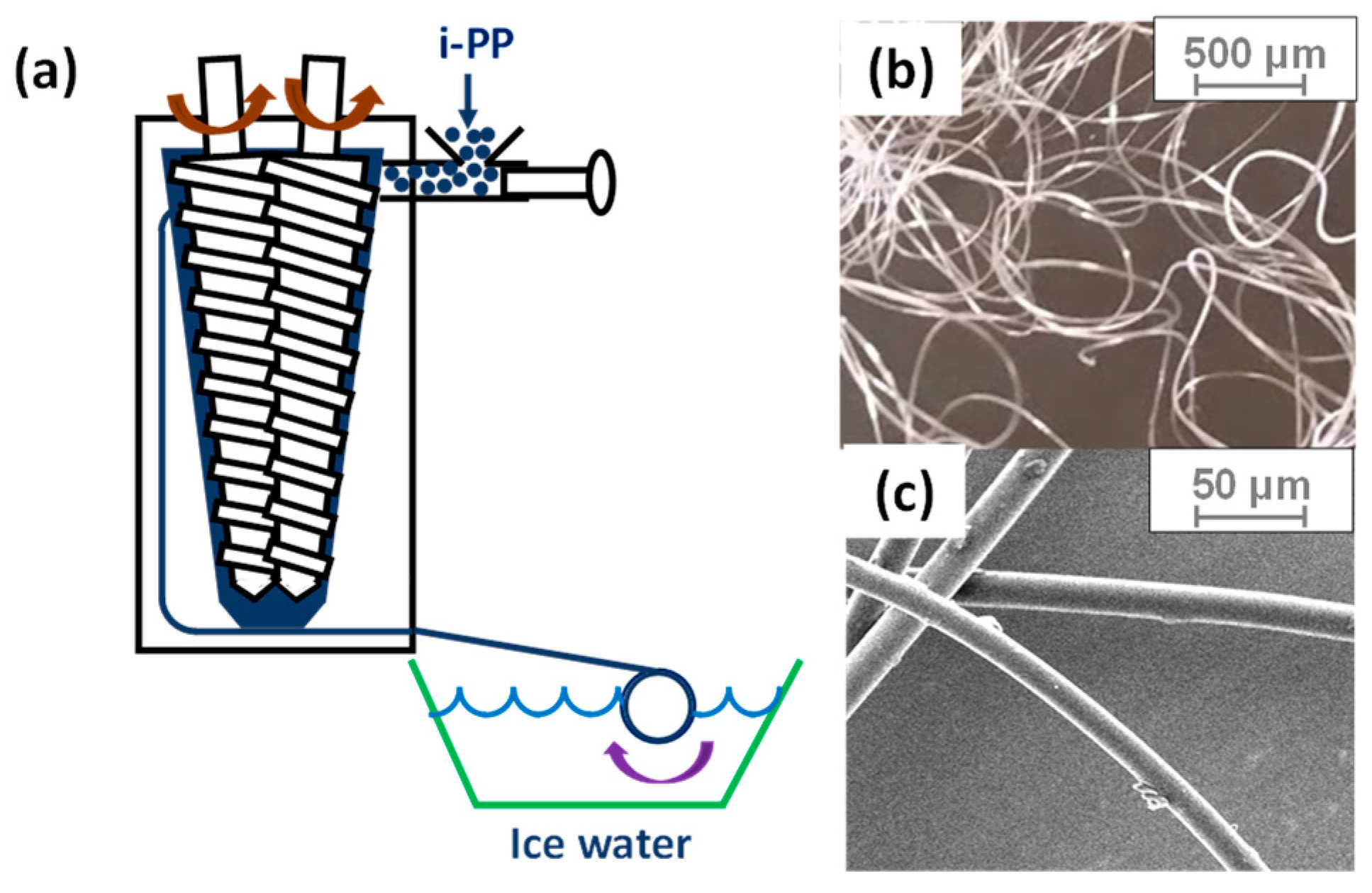 Polymers 11 00211 g002