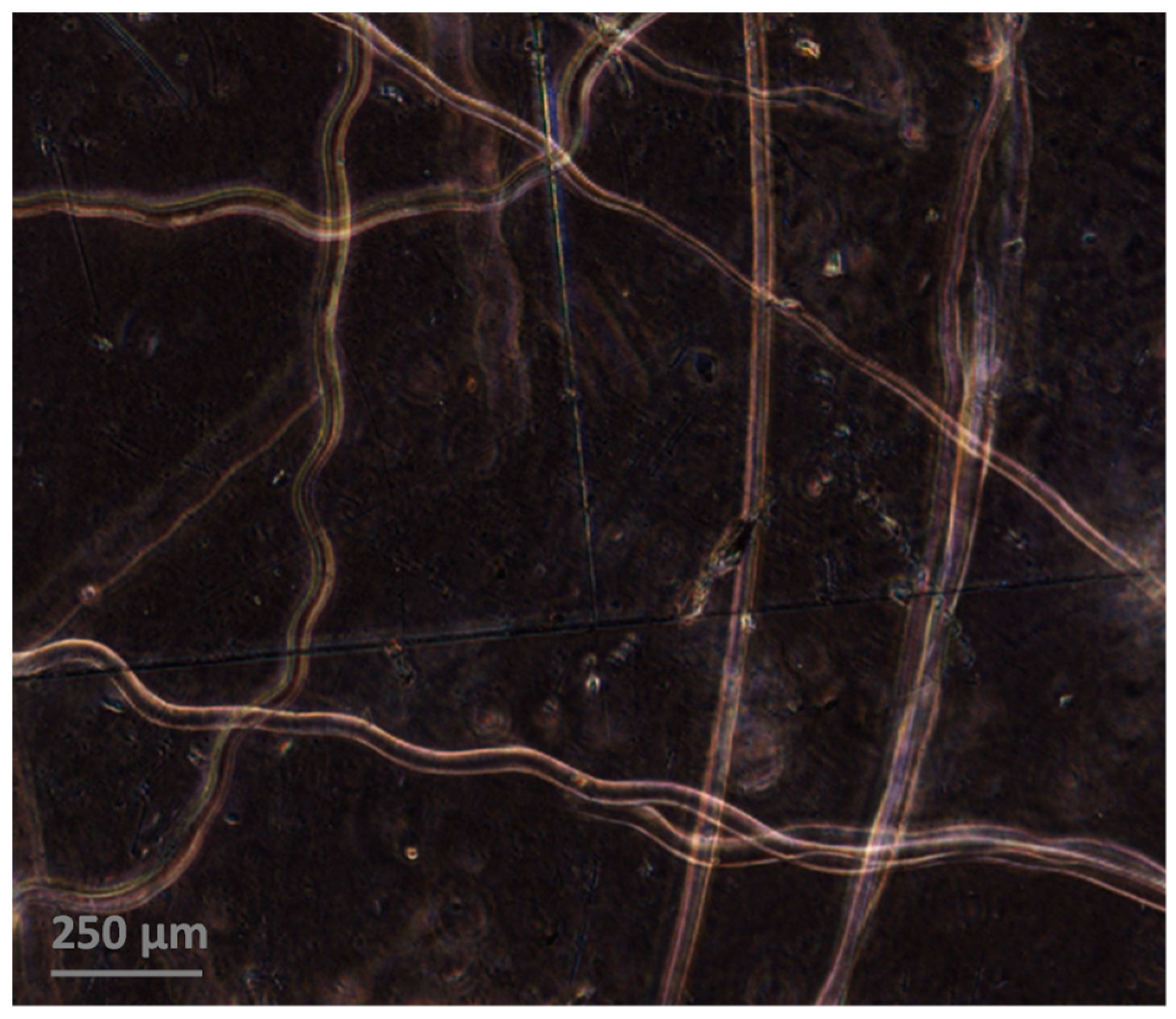 Polymers 11 00211 g003