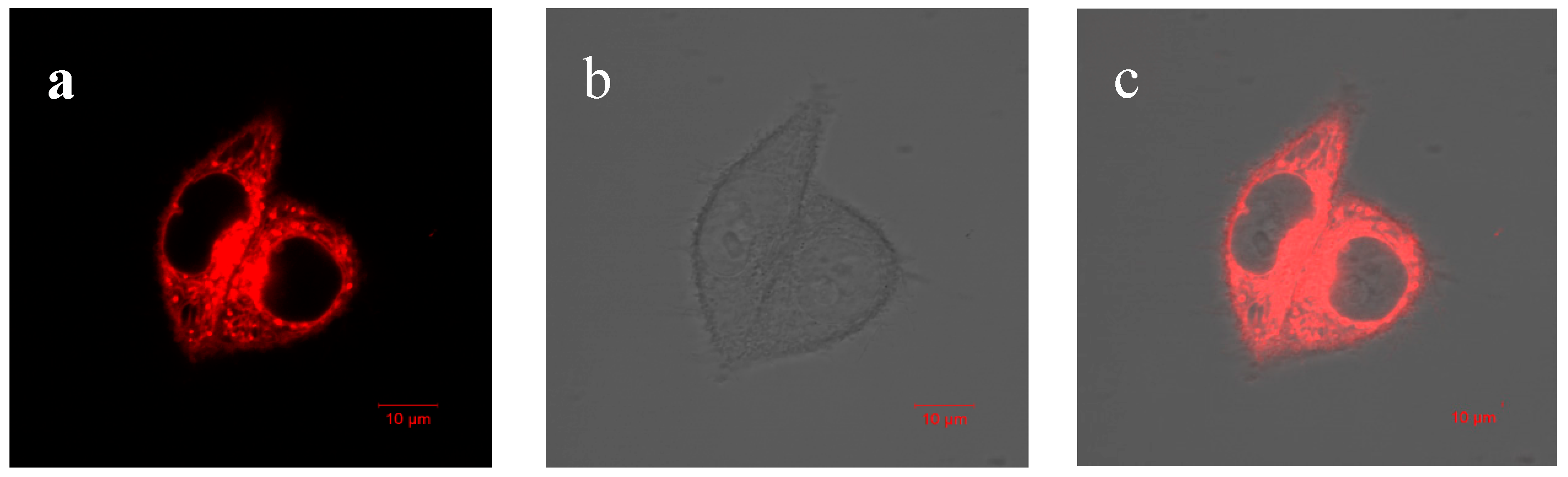 Polymers 11 00220 g008