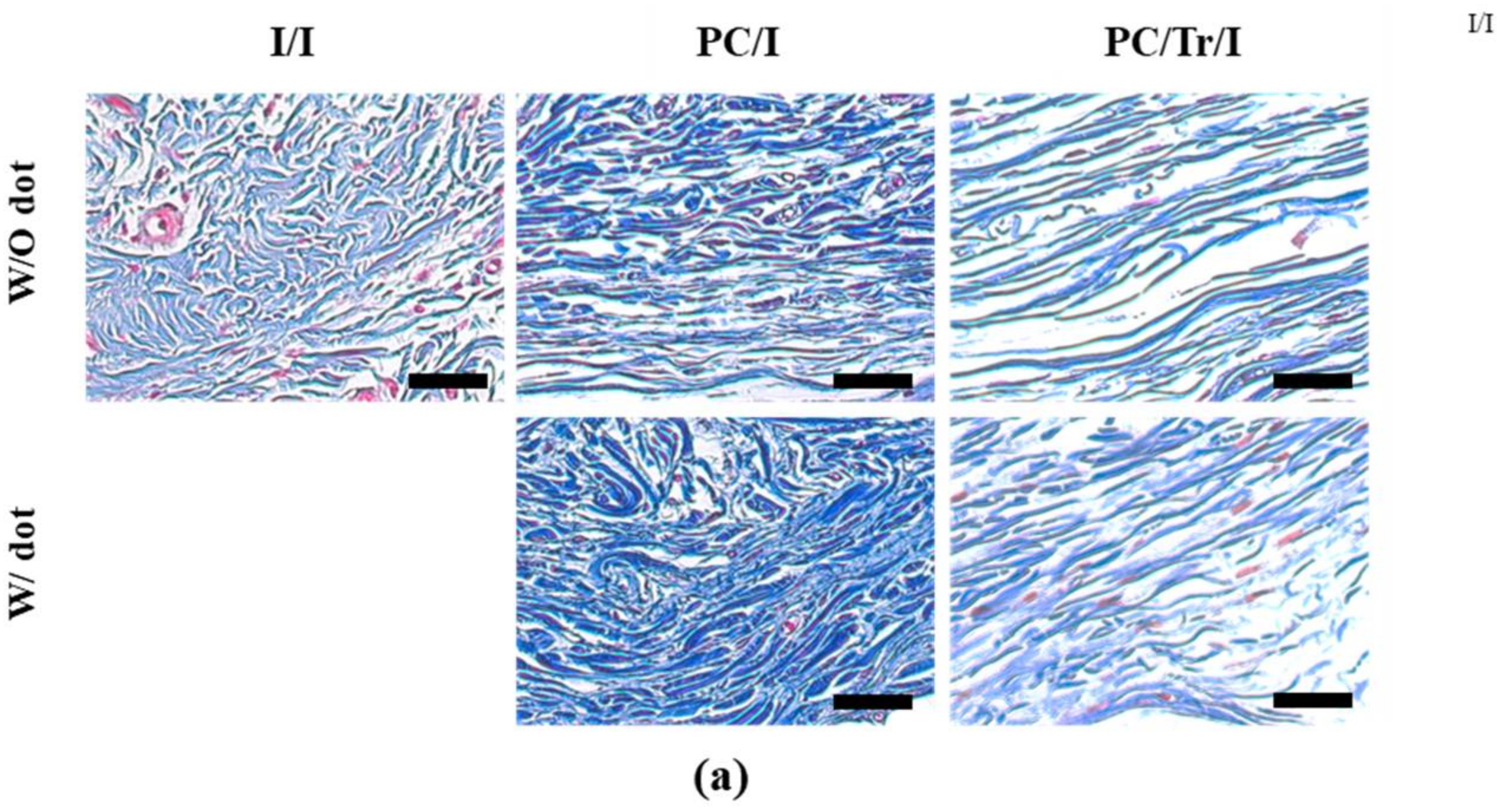 Polymers 11 00223 g007a Polymers 11 00223 g007a