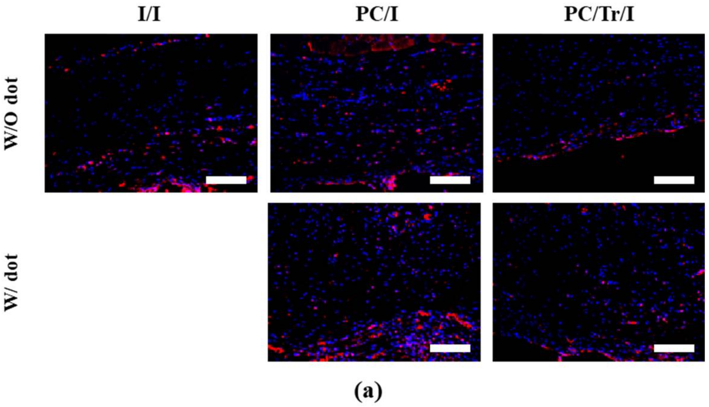 Polymers 11 00223 g008a Polymers 11 00223 g008a