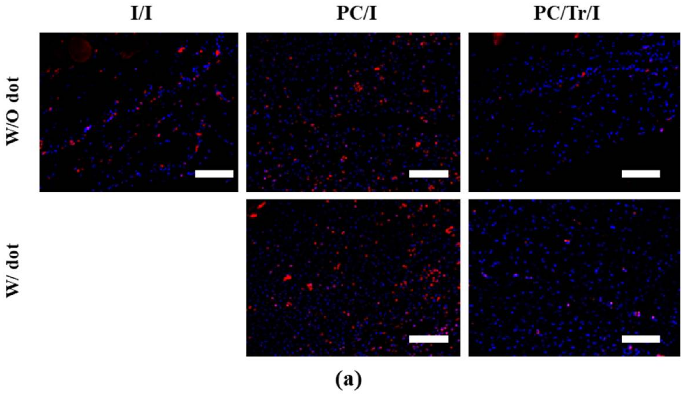 Polymers 11 00223 g009a Polymers 11 00223 g009a