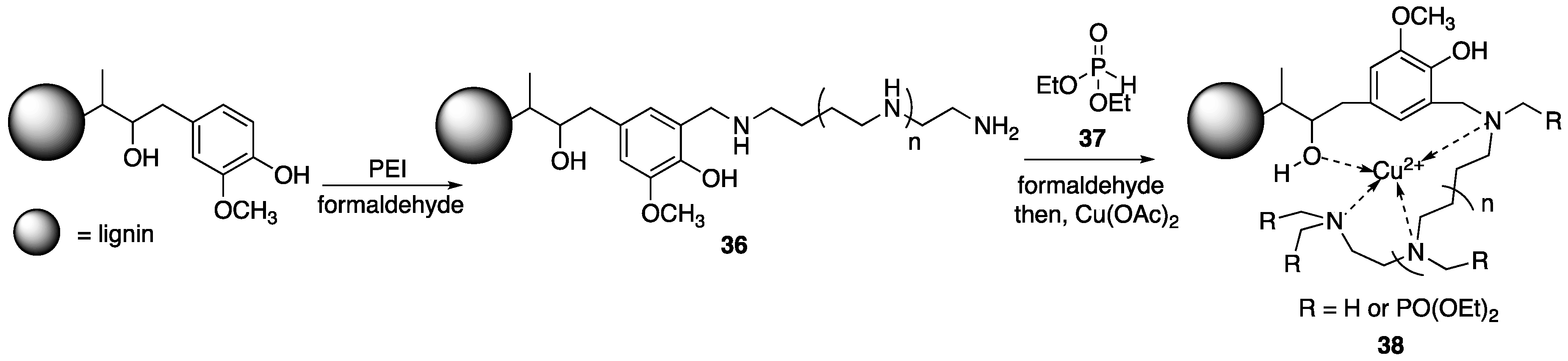 Polymers 11 00224 g019 550