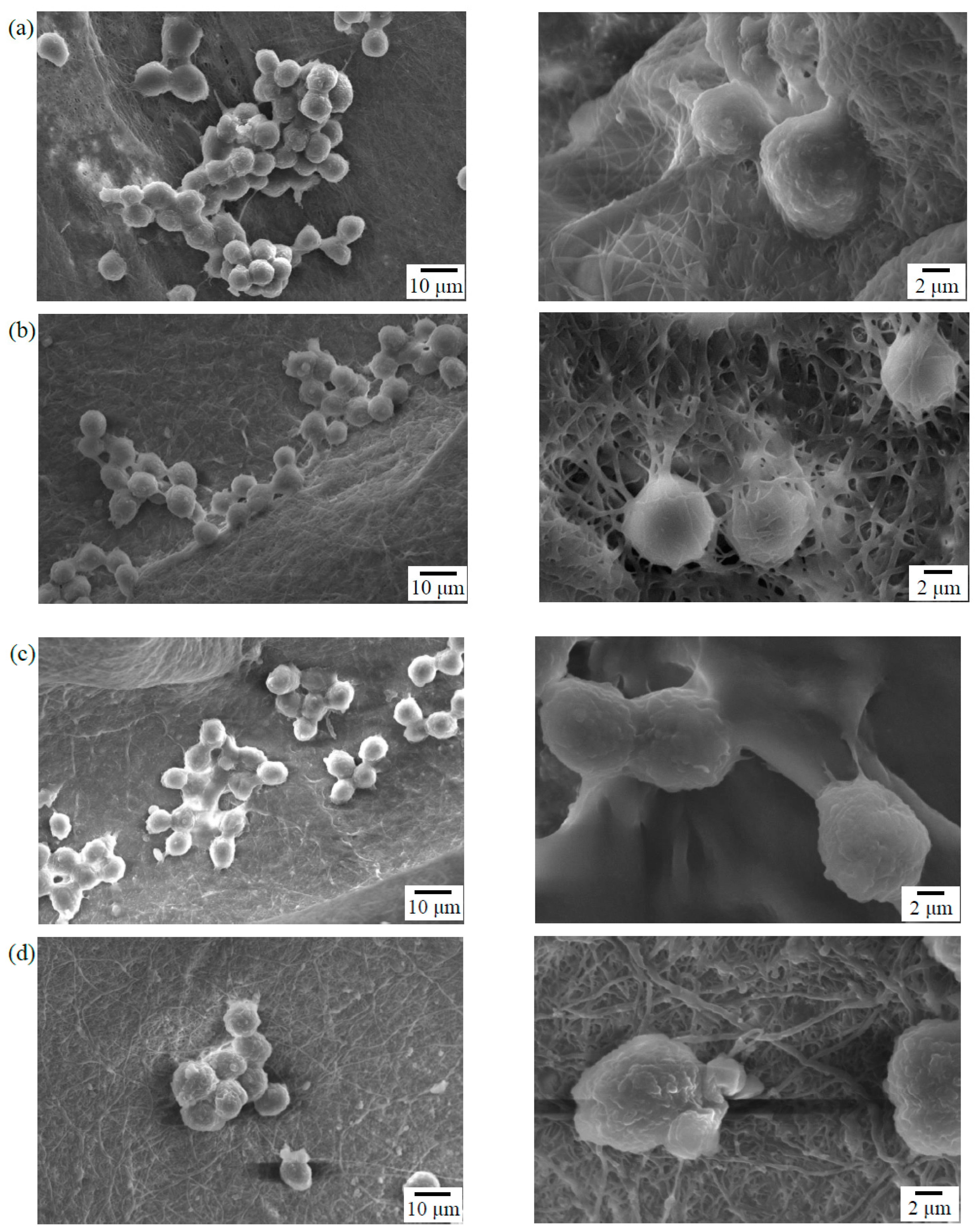 Polymers 11 00227 g006 Polymers 11 00227 g006