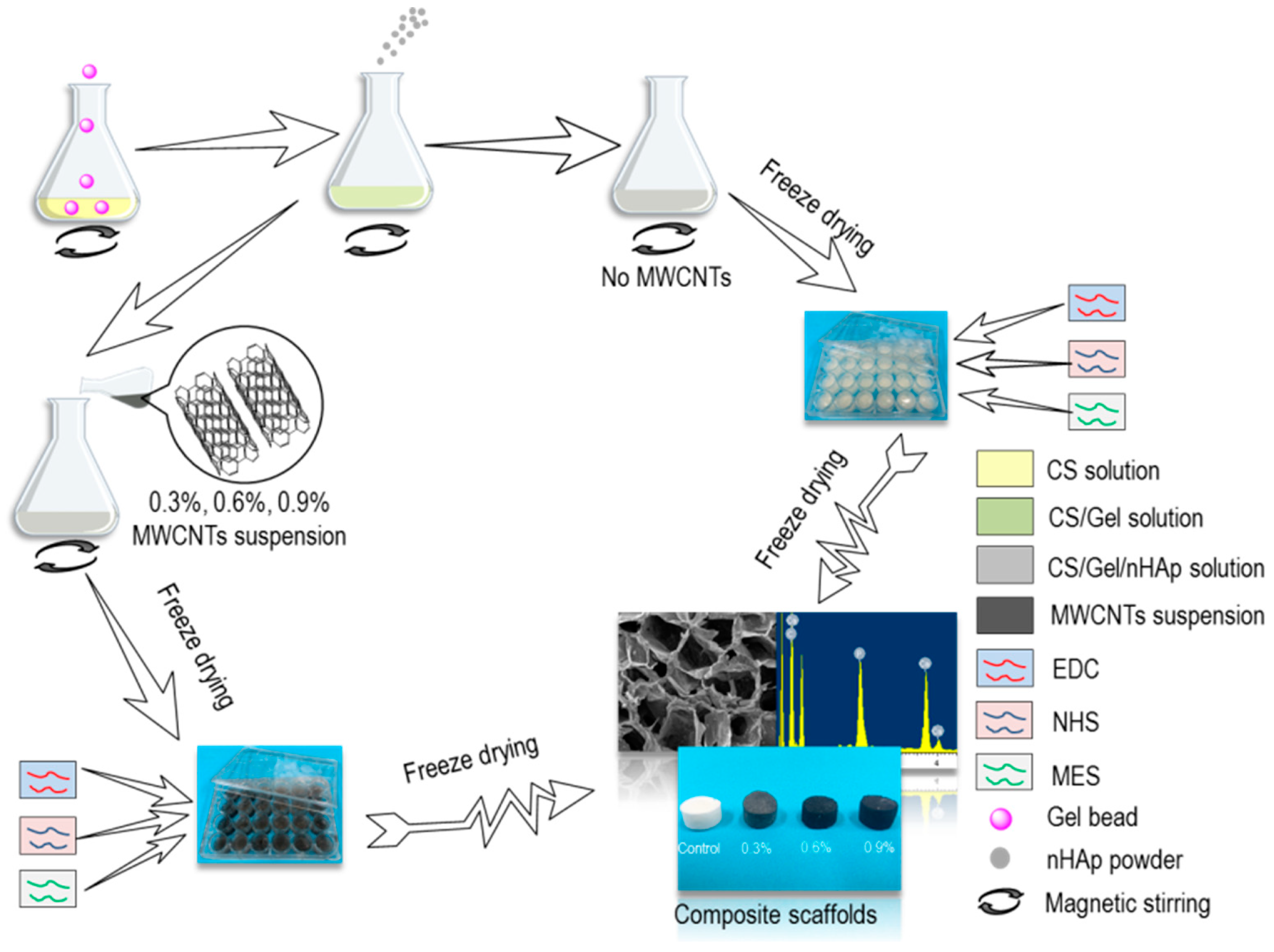 Polymers 11 00230 g001