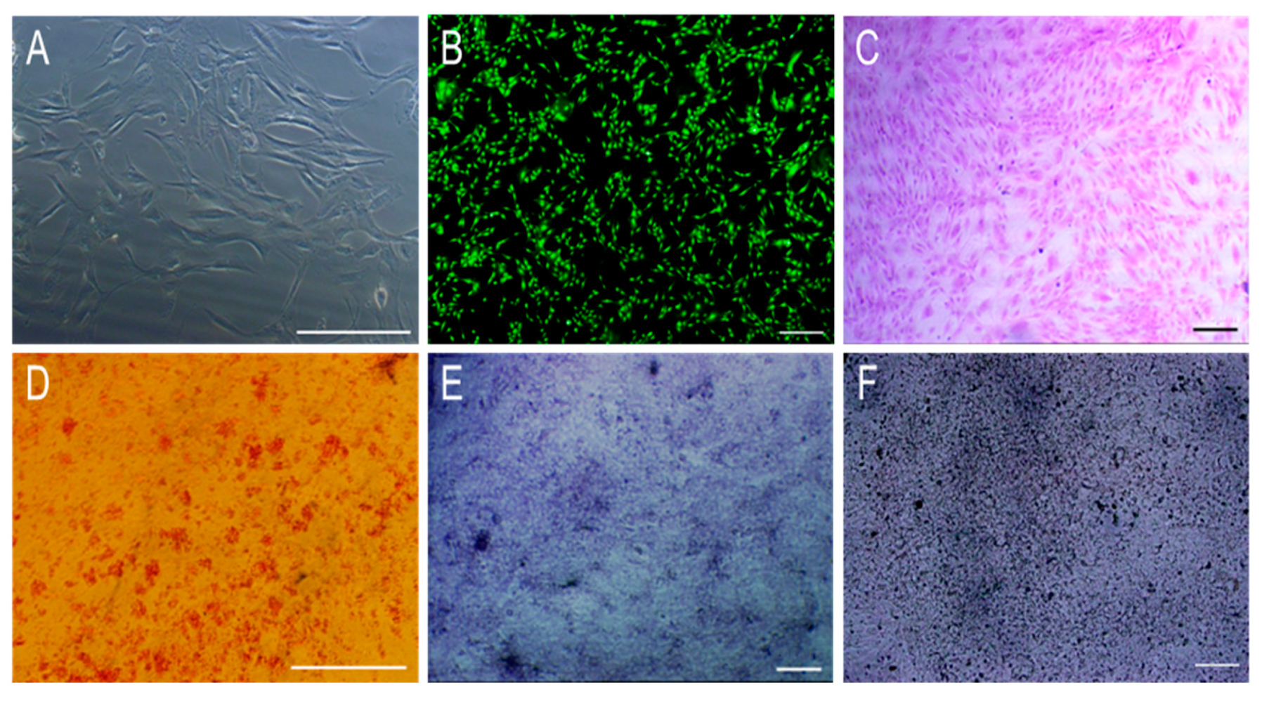 Polymers 11 00230 g006