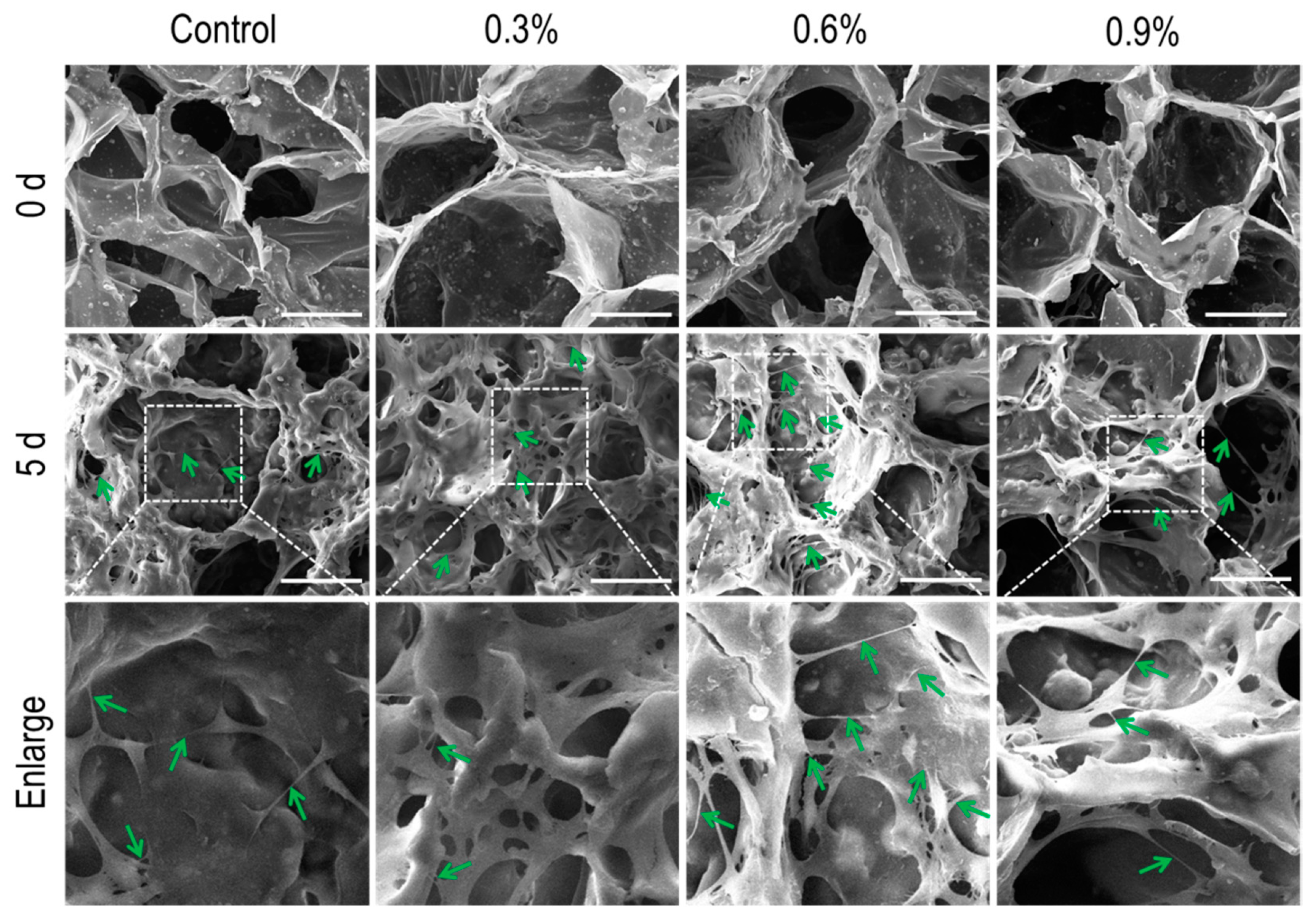 Polymers 11 00230 g007