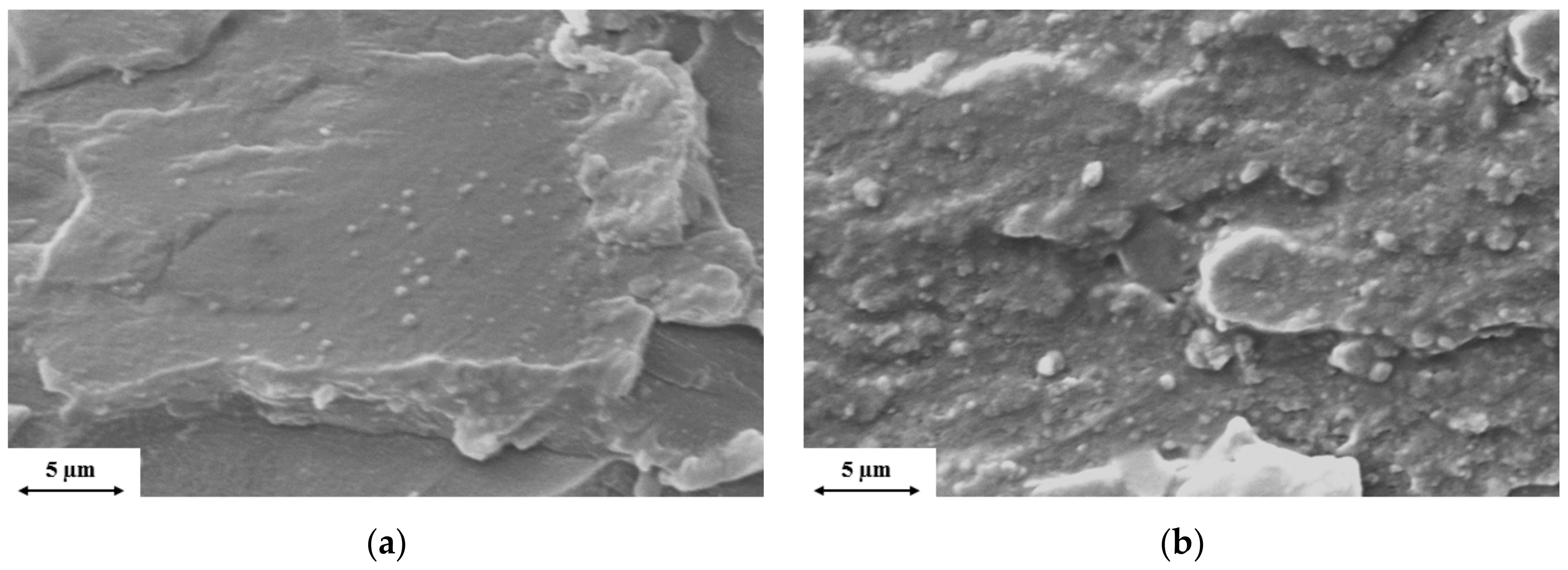Polymers 11 00233 g002