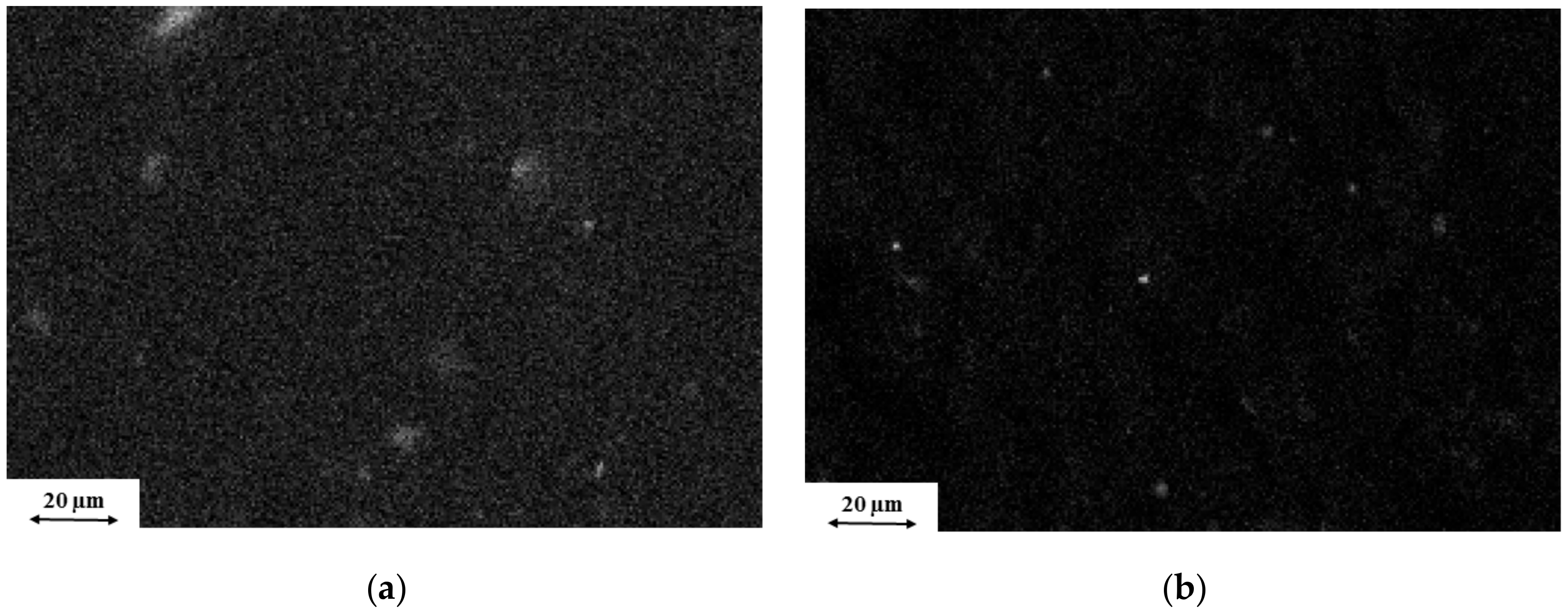 Polymers 11 00233 g003