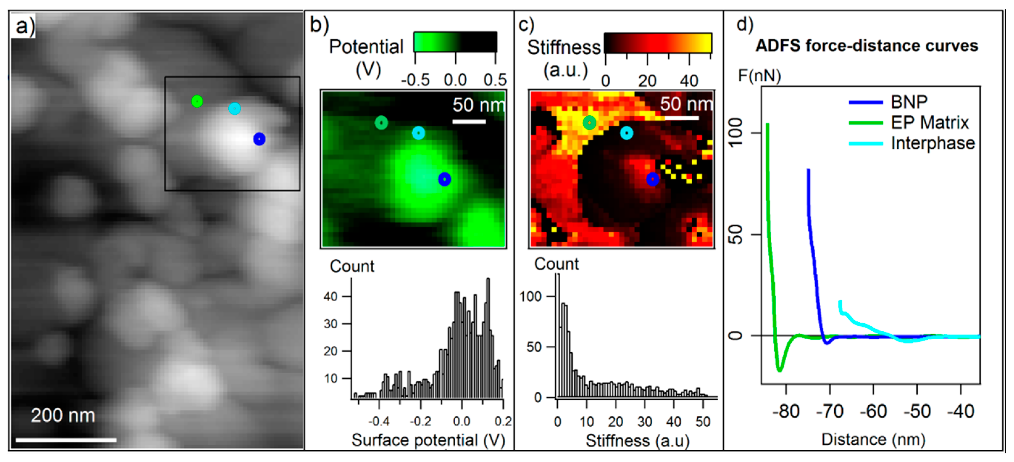 Polymers 11 00235 g003 550