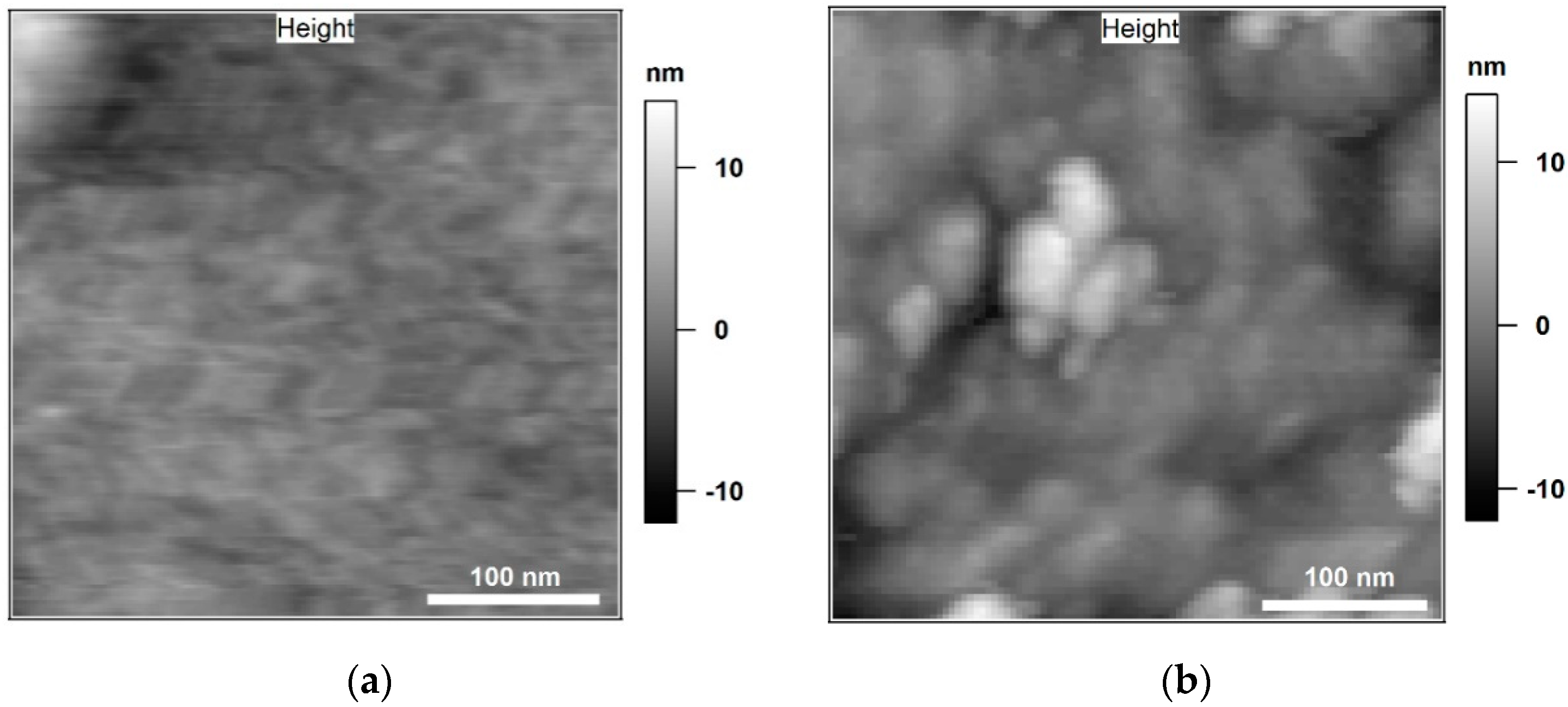 Polymers 11 00235 g005 550