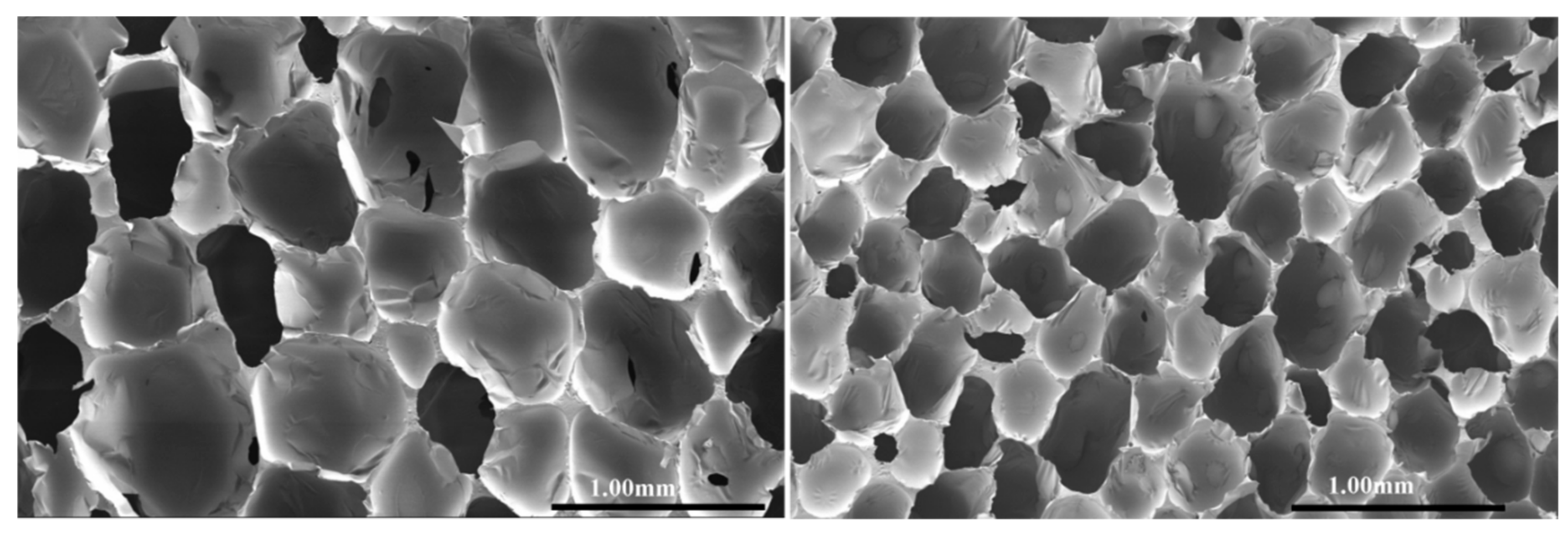 Polymers 11 00236 g005