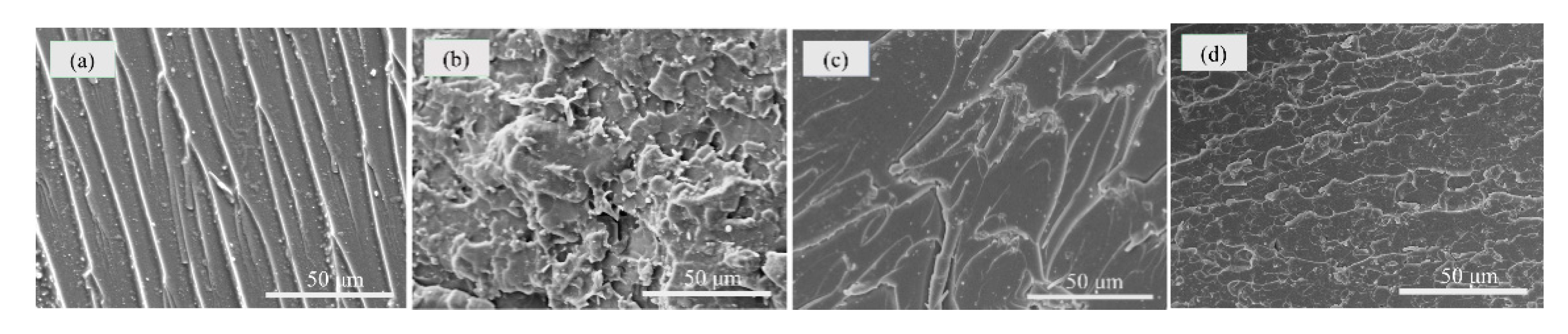 Polymers 11 00241 g009
