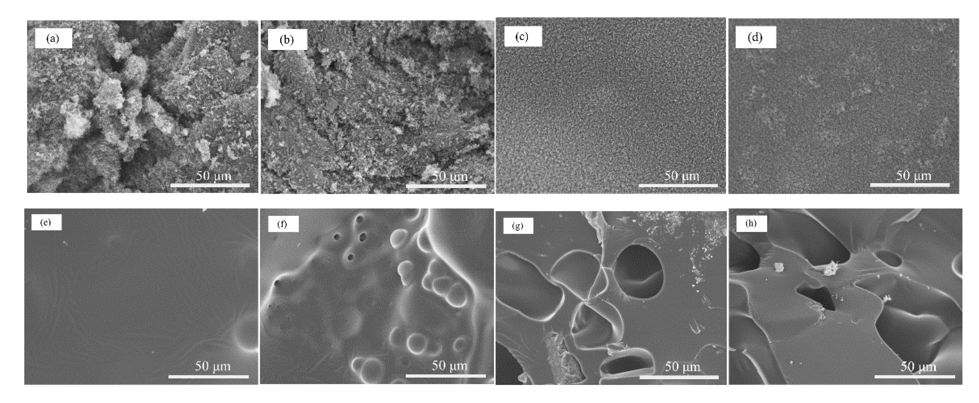 Polymers 11 00241 g012