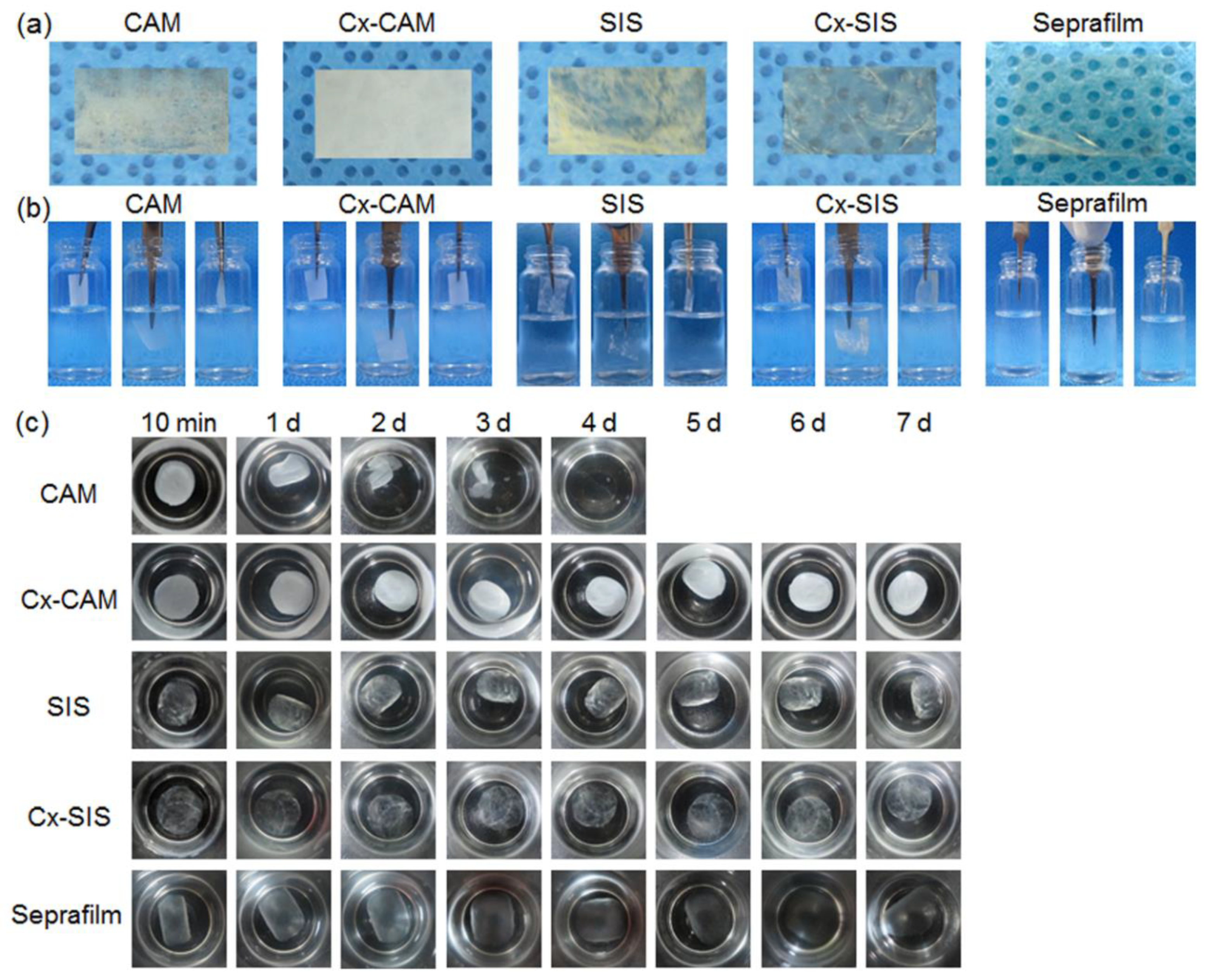 Polymers 11 00247 g002