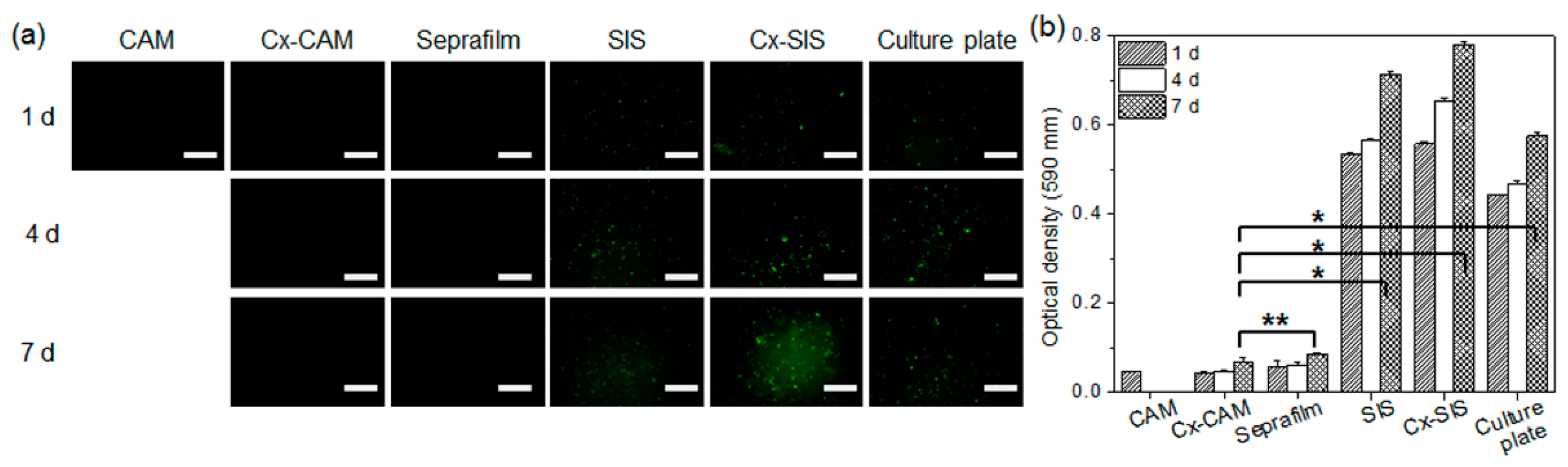Polymers 11 00247 g005