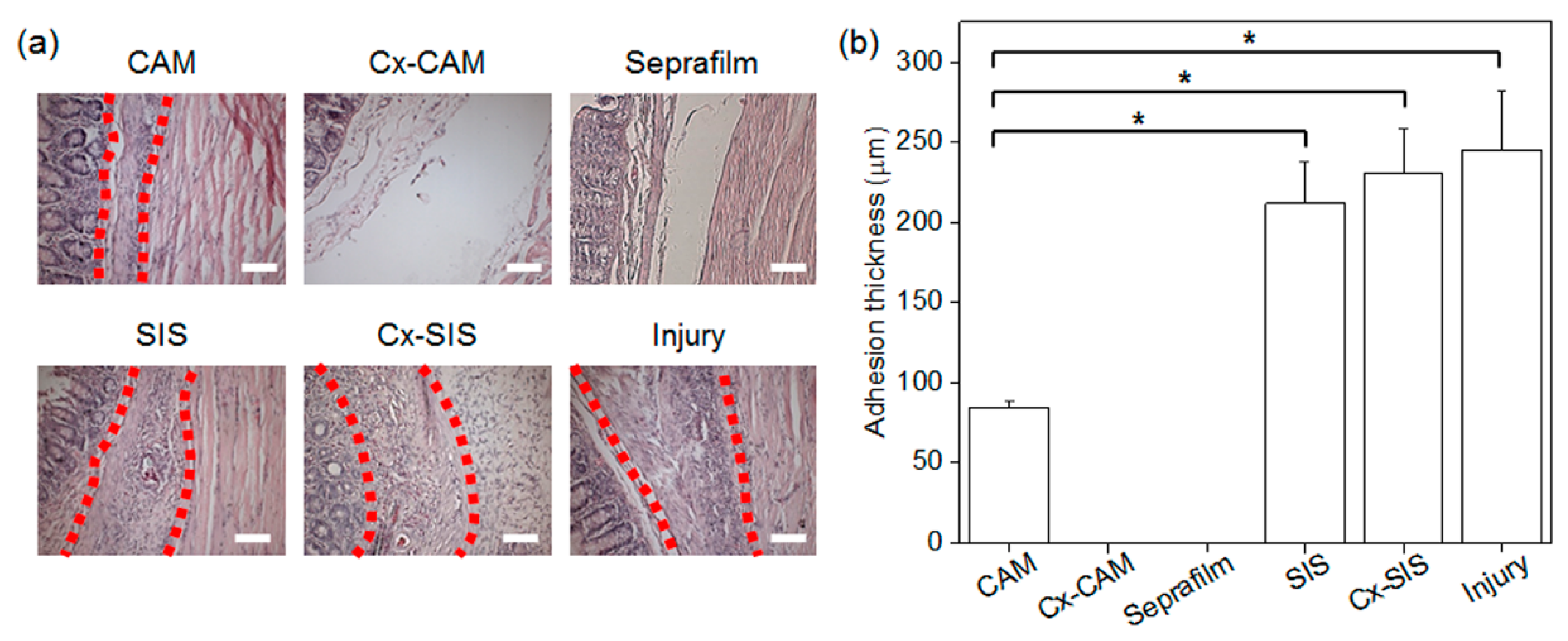 Polymers 11 00247 g008