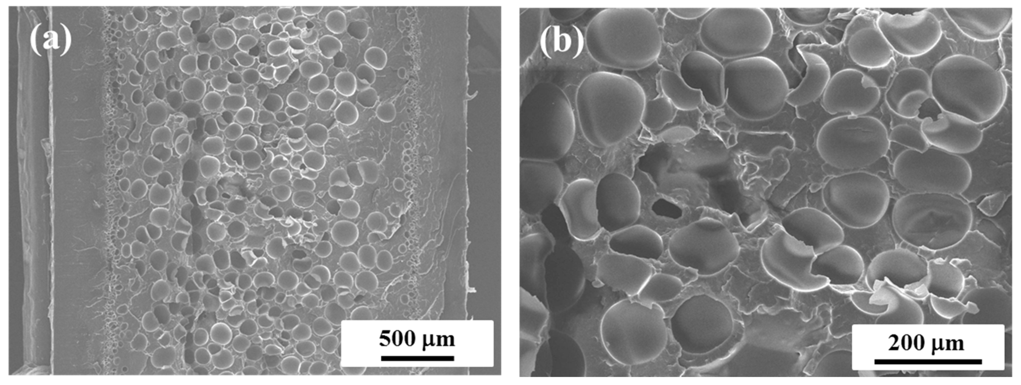 Polymers 11 00249 g001