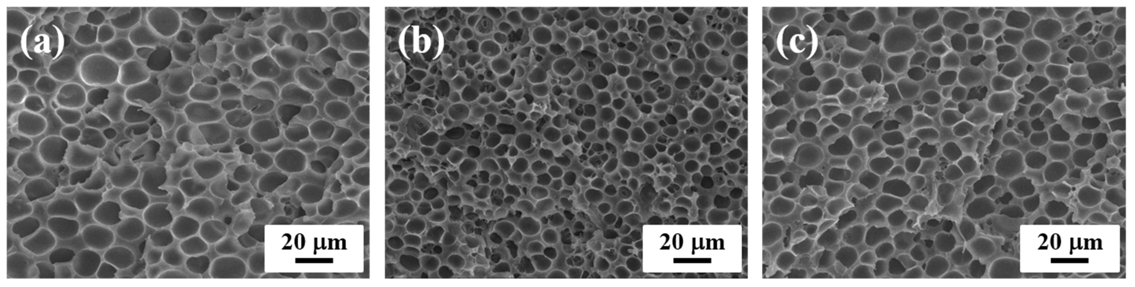 Polymers 11 00249 g002